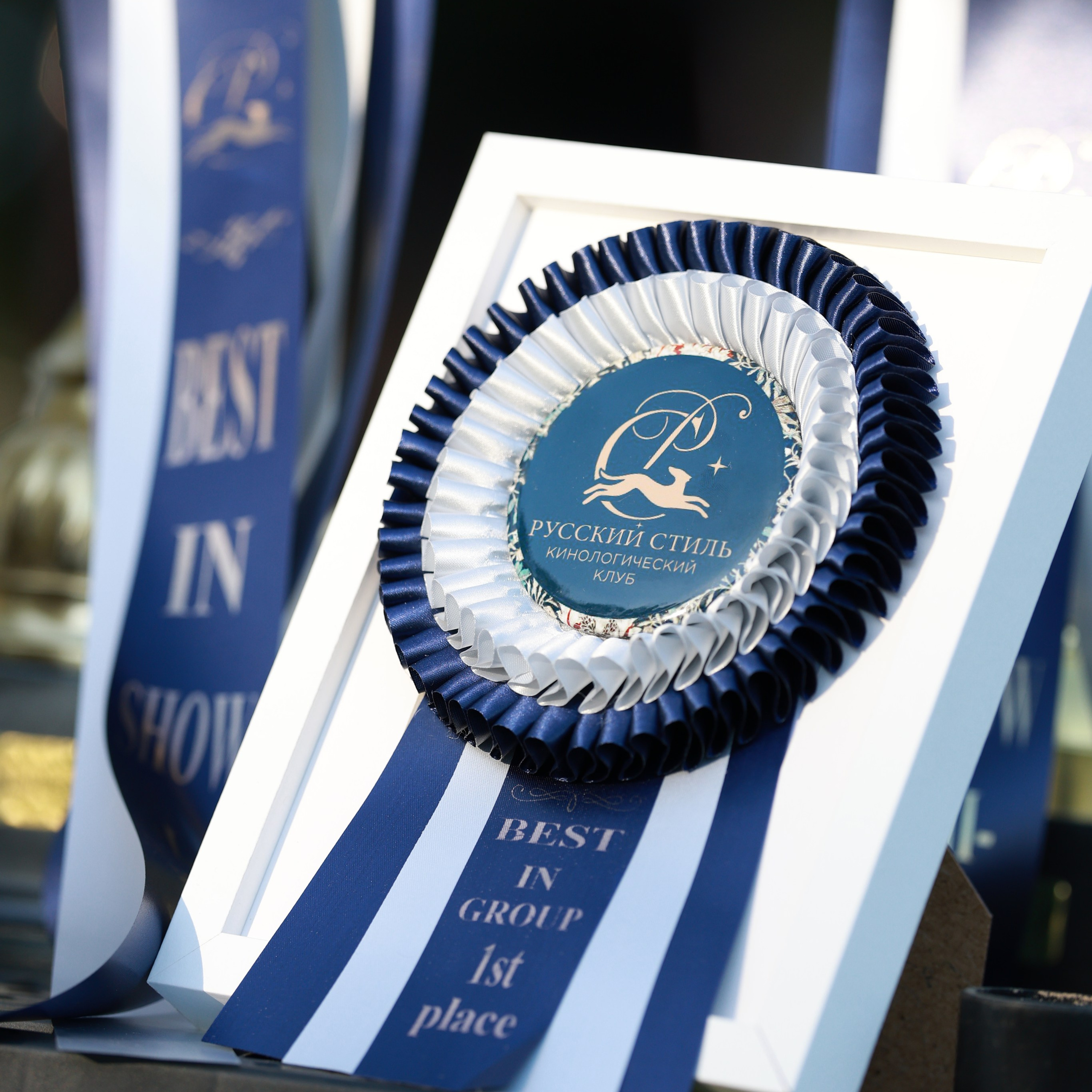 27-28.09.2025 ВЫСТАВКИ СОБАК ВСЕХ ПОРОД (САС, ЧРКФ, ЧФ). ФОТОГРАФ-АНИМАЛИСТ l LANA POLYAKOVA