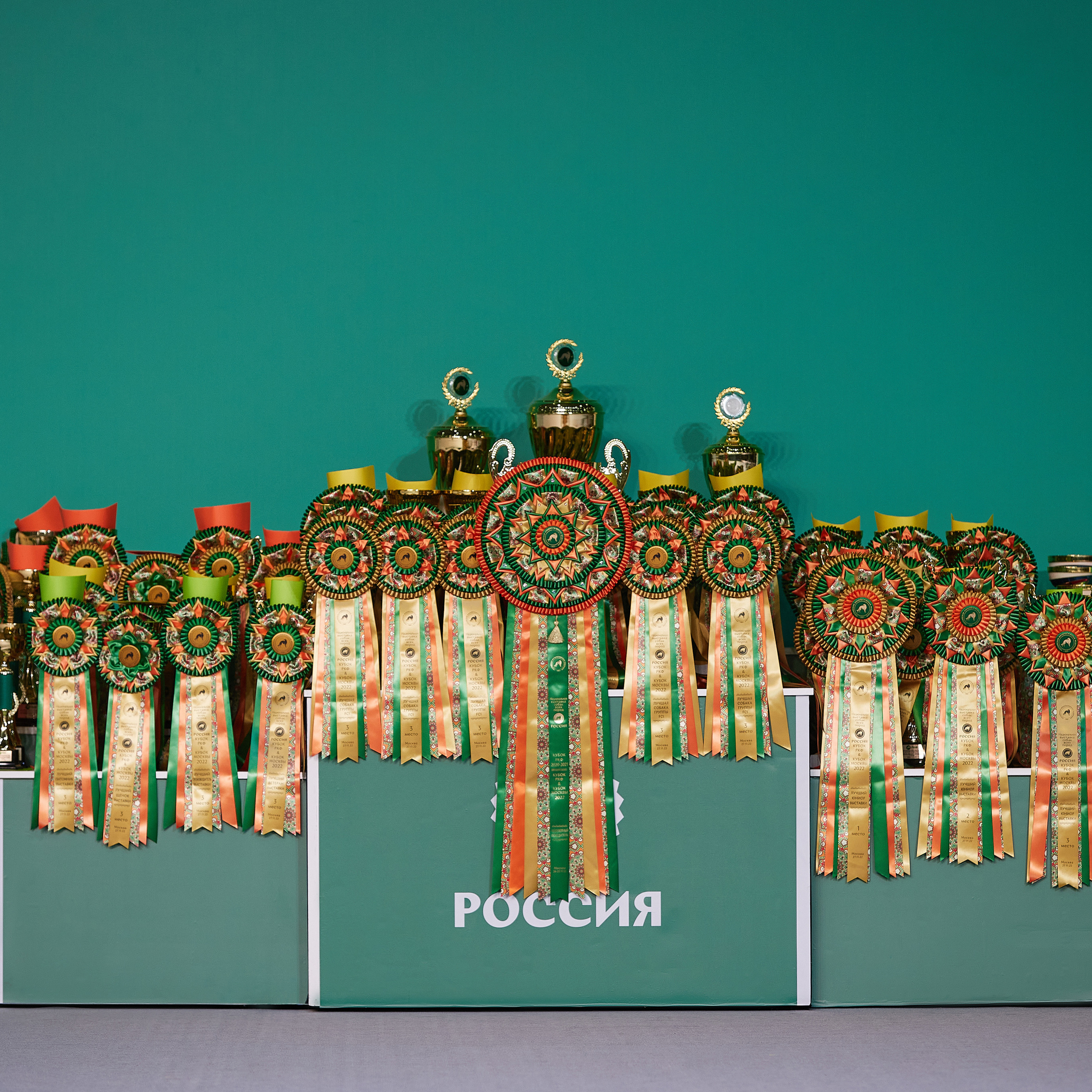 «Россия» в Крокусе. ФОТОГРАФ-АНИМАЛИСТ l LANA POLYAKOVA