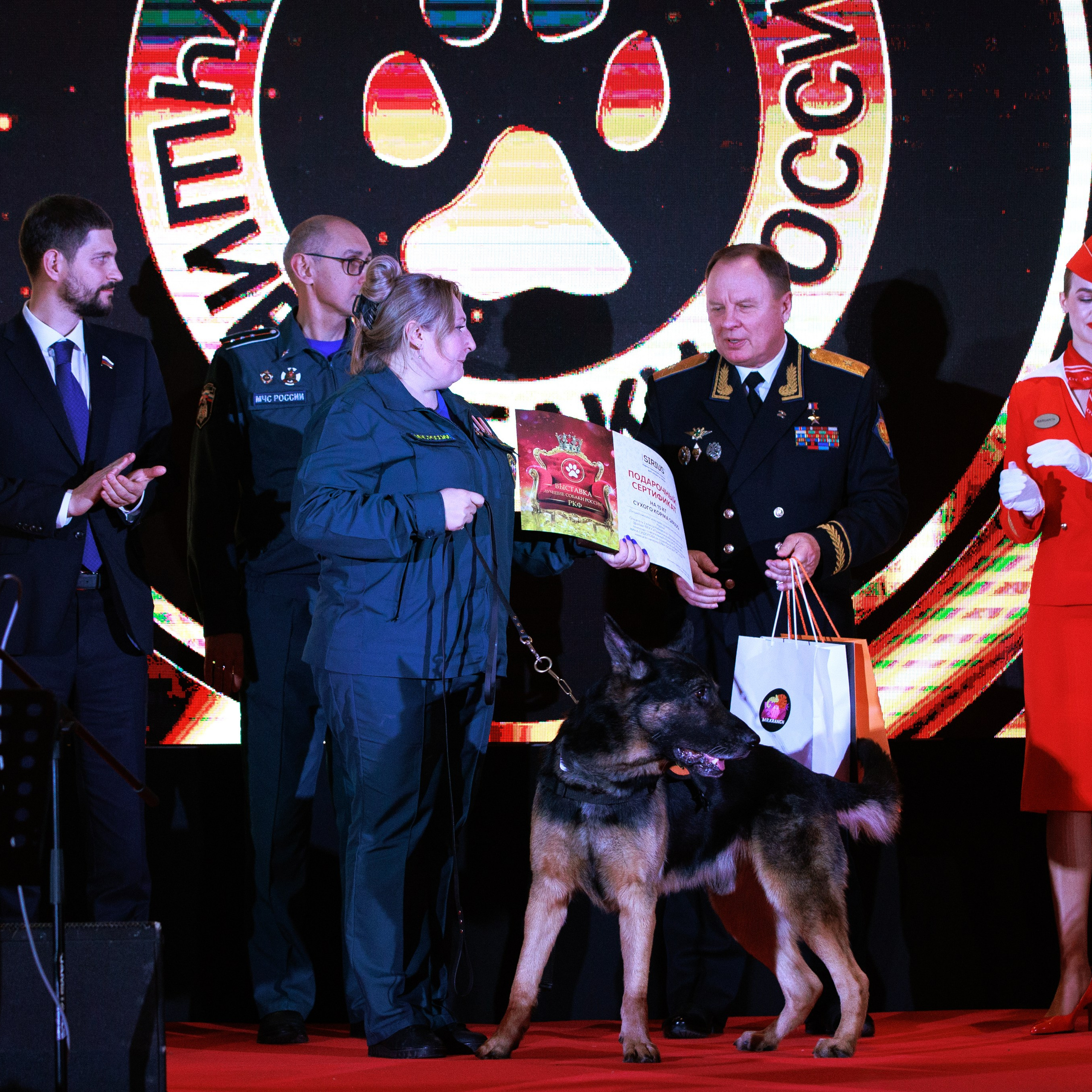 Репортаж с церемонии «BEST RUSSIAN DOG 2024». ФОТОГРАФ-АНИМАЛИСТ l LANA POLYAKOVA