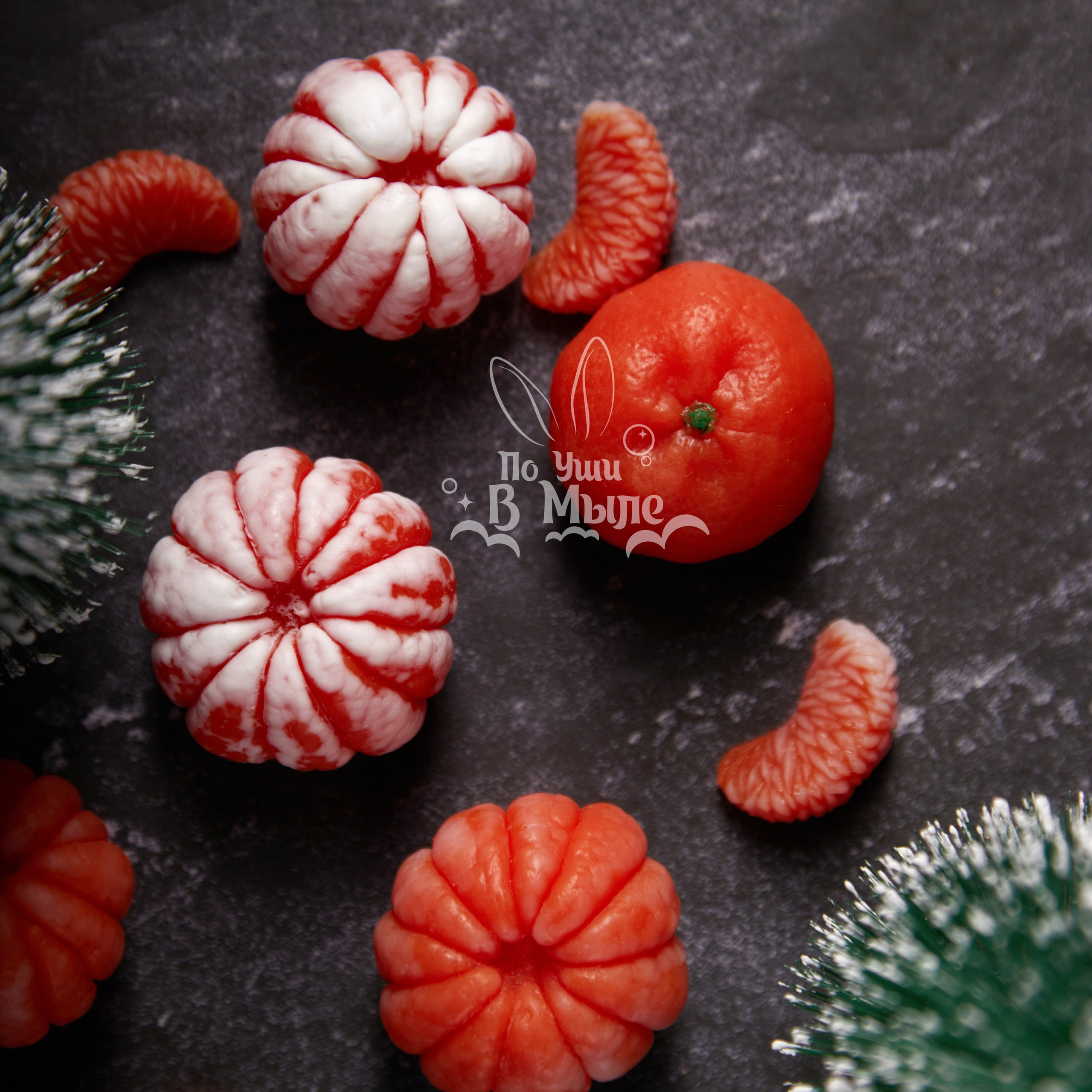 Логотип для мастерской необычного мыла. ФОТОГРАФ-АНИМАЛИСТ l LANA POLYAKOVA