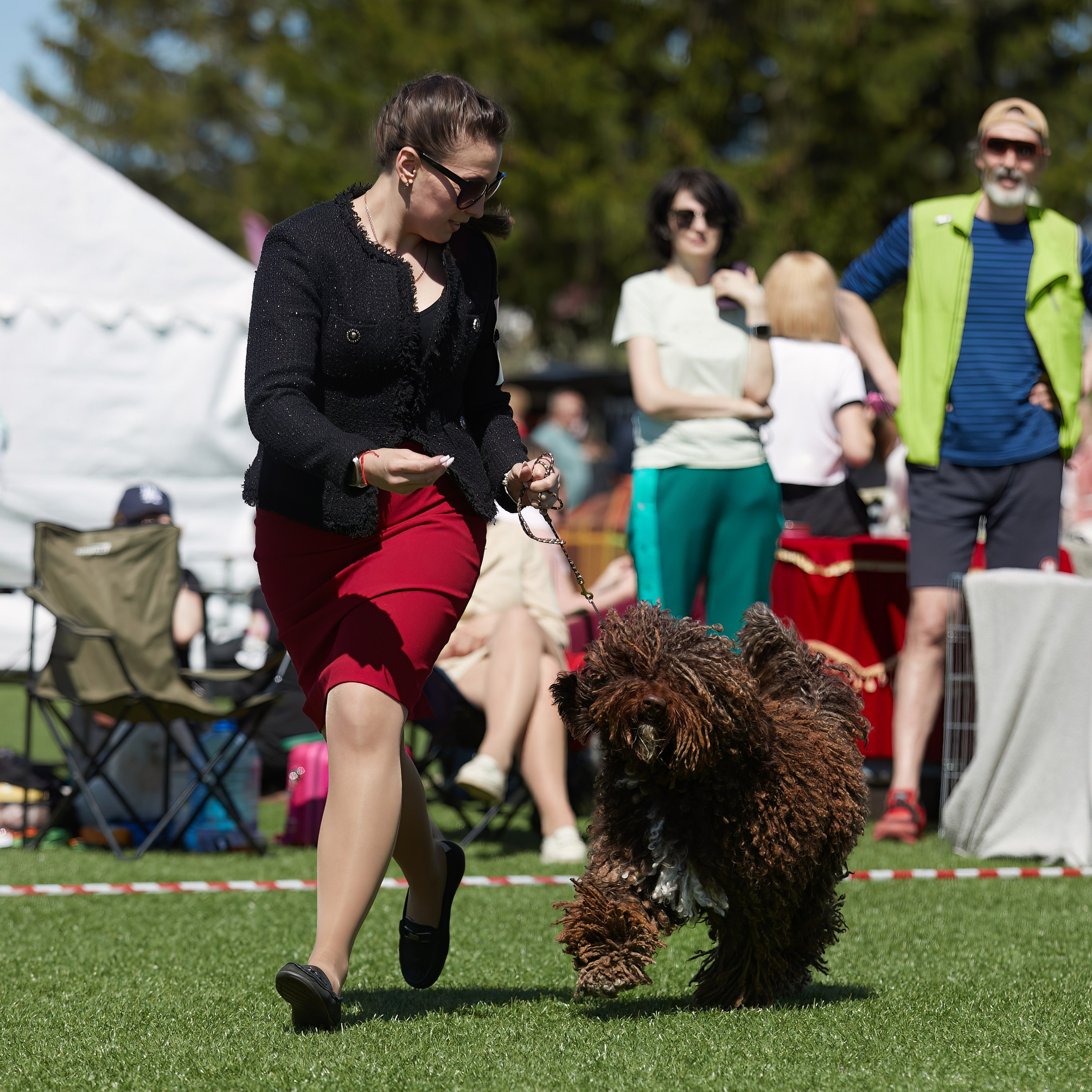 Отгремела «Суздаль-2024». ФОТОГРАФ-АНИМАЛИСТ l LANA POLYAKOVA