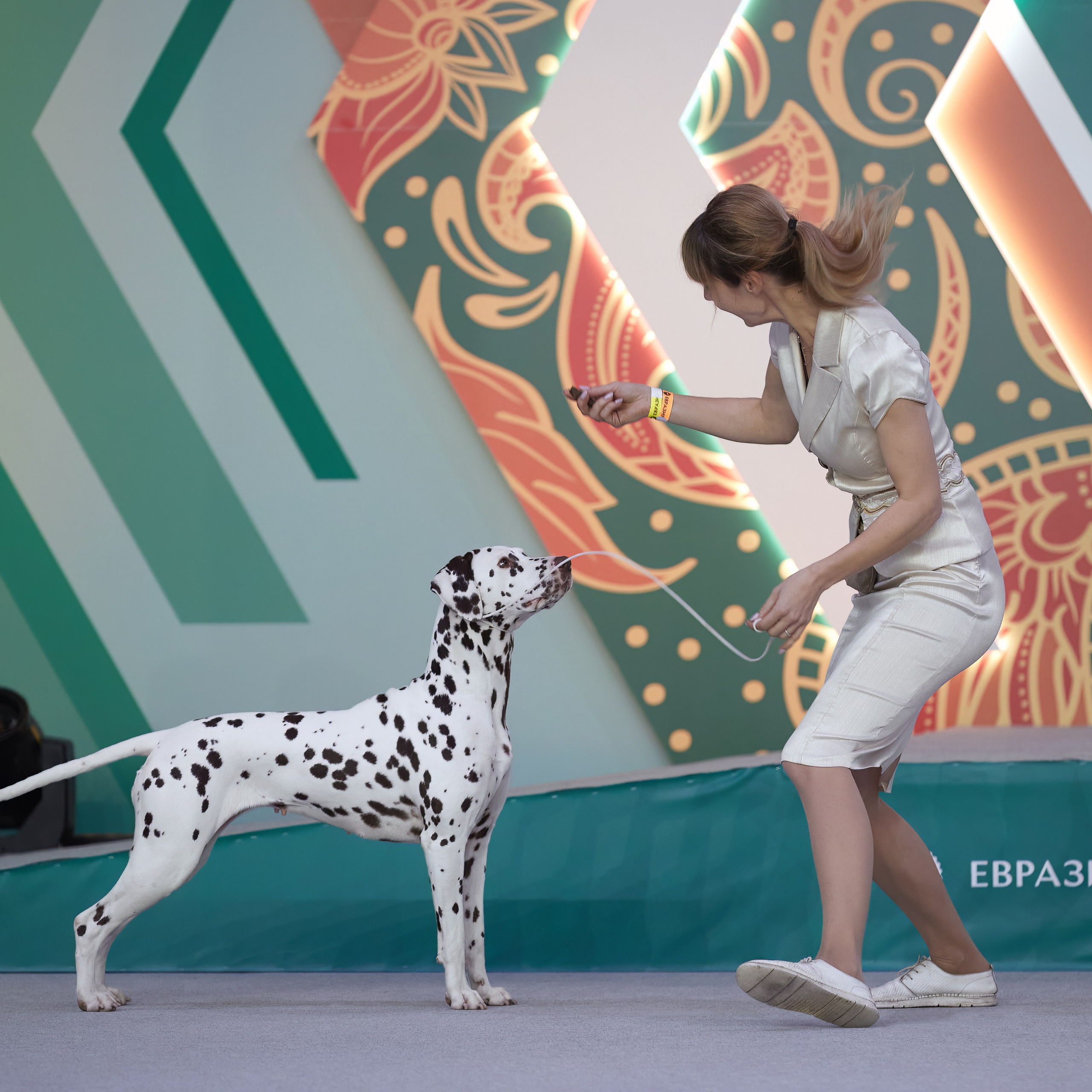 «ЕВРАЗИЯ-2024». ФОТОГРАФ-АНИМАЛИСТ l LANA POLYAKOVA