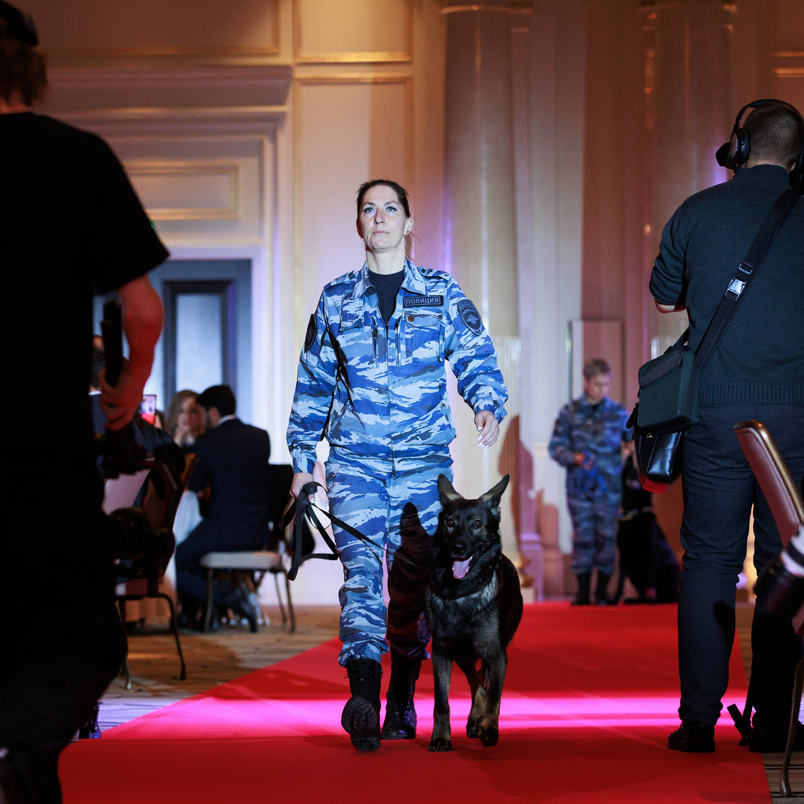 Репортаж с церемонии «BEST RUSSIAN DOG 2024». ФОТОГРАФ-АНИМАЛИСТ l LANA POLYAKOVA