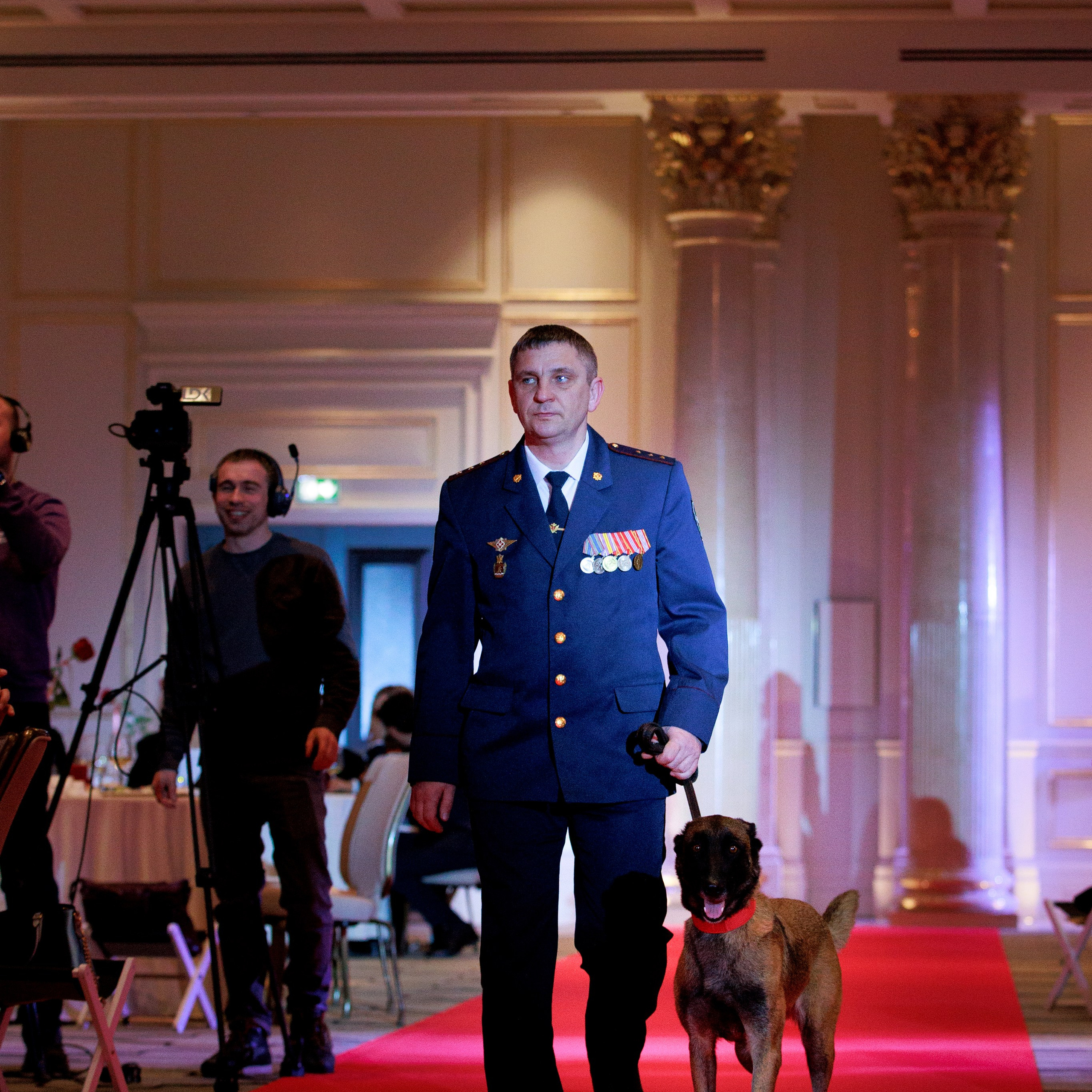 Репортаж с церемонии «BEST RUSSIAN DOG 2024». ФОТОГРАФ-АНИМАЛИСТ l LANA POLYAKOVA