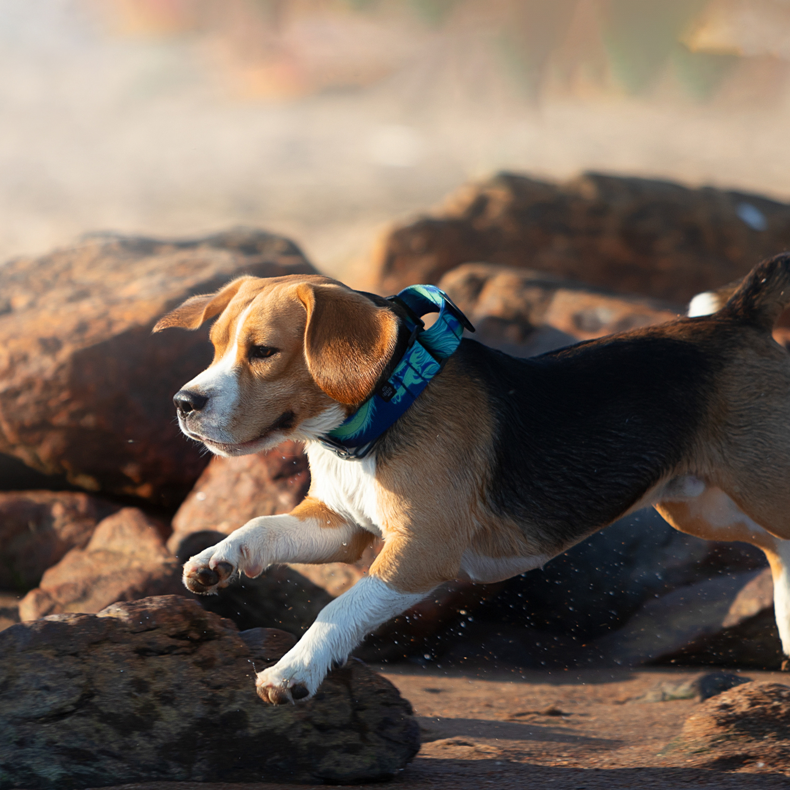WORK-SHOP 16.07.23 завершён. ФОТОГРАФ-АНИМАЛИСТ l LANA POLYAKOVA