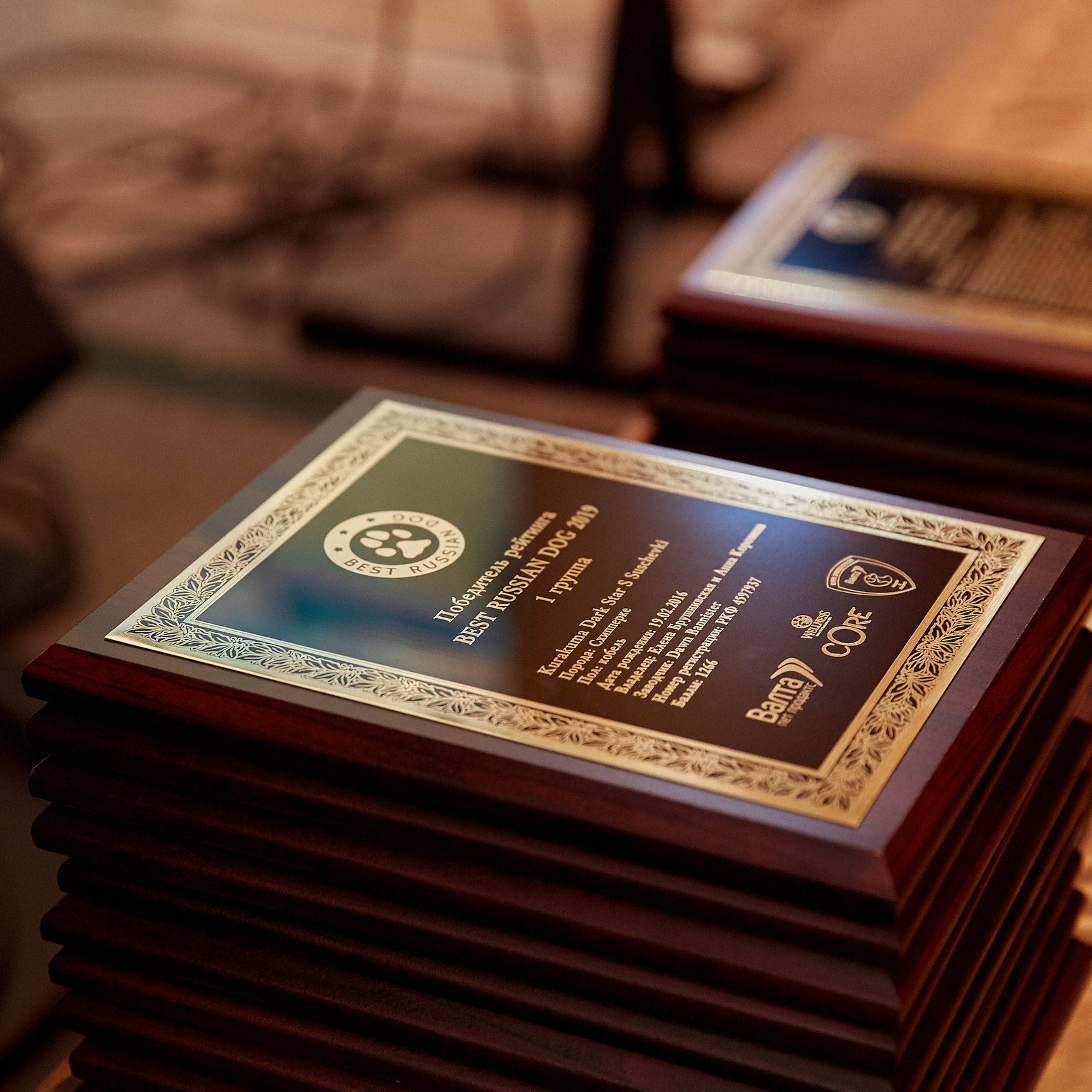 НАГРАЖДЕНИЕ ПОБЕДИТЕЛЕЙ РЕЙТИНГА «BEST RUSSIAN DOG». ФОТОГРАФ-АНИМАЛИСТ l LANA POLYAKOVA