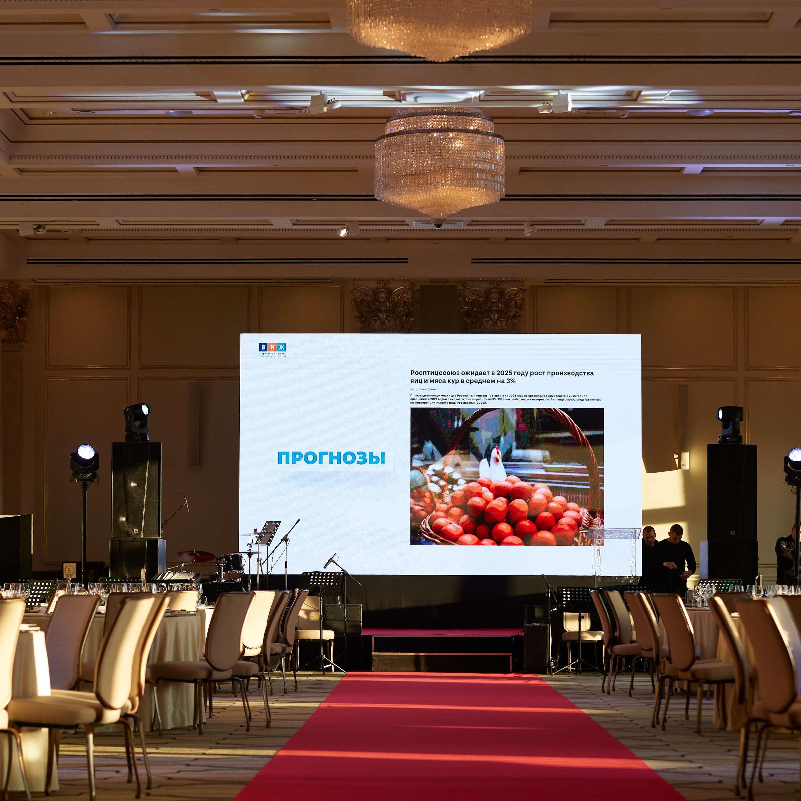 Репортаж с церемонии «BEST RUSSIAN DOG 2024». ФОТОГРАФ-АНИМАЛИСТ l LANA POLYAKOVA