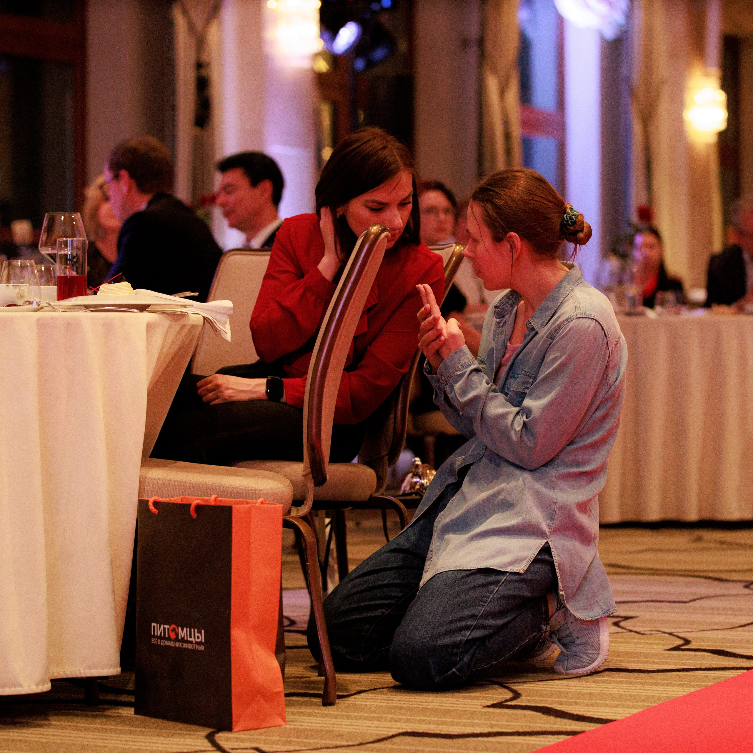 Репортаж с церемонии «BEST RUSSIAN DOG 2024». ФОТОГРАФ-АНИМАЛИСТ l LANA POLYAKOVA