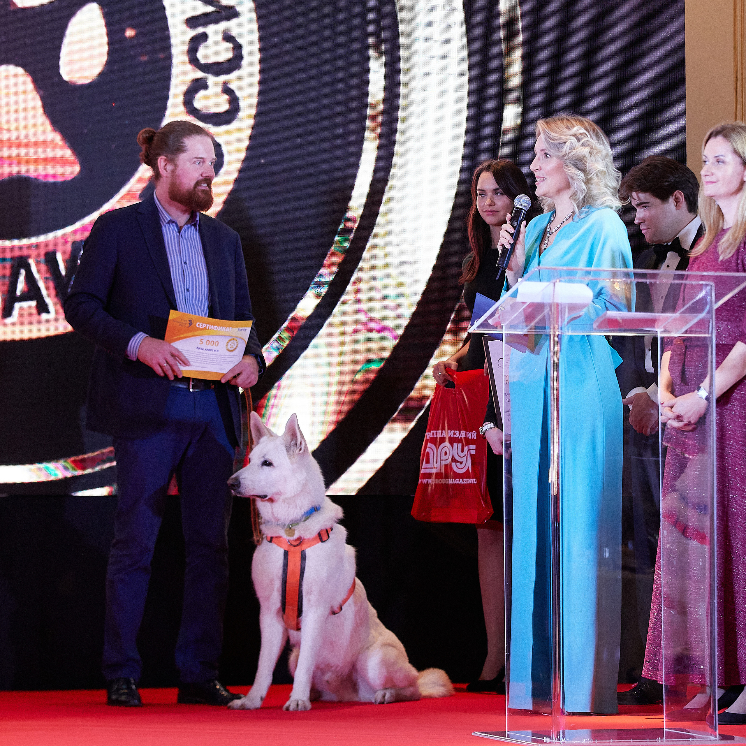 НАГРАЖДЕНИЕ ПОБЕДИТЕЛЕЙ РЕЙТИНГА «BEST RUSSIAN DOG» 2020. ФОТОГРАФ-АНИМАЛИСТ l LANA POLYAKOVA
