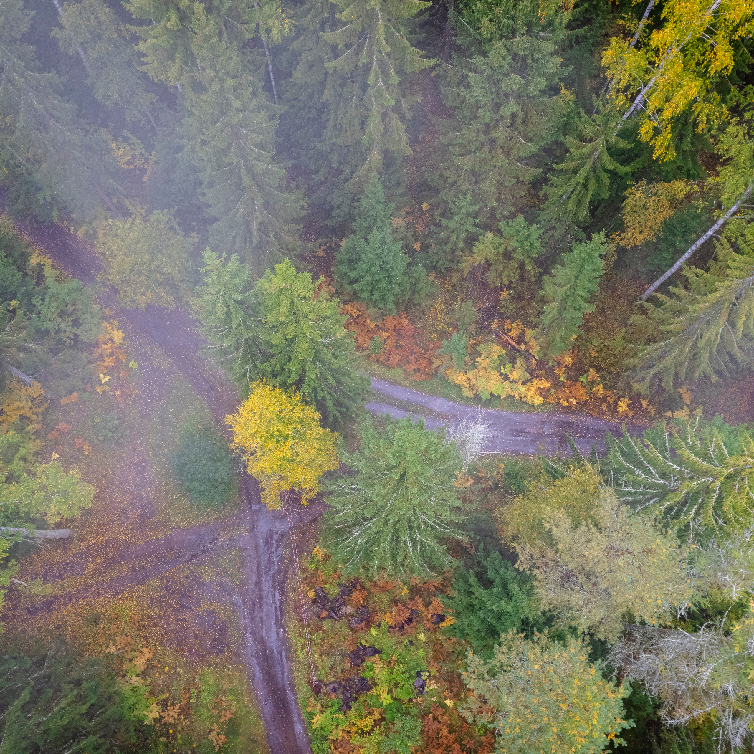 Чемпионат РКФ FCISDR 24-25.09.22. ФОТОГРАФ-АНИМАЛИСТ l LANA POLYAKOVA