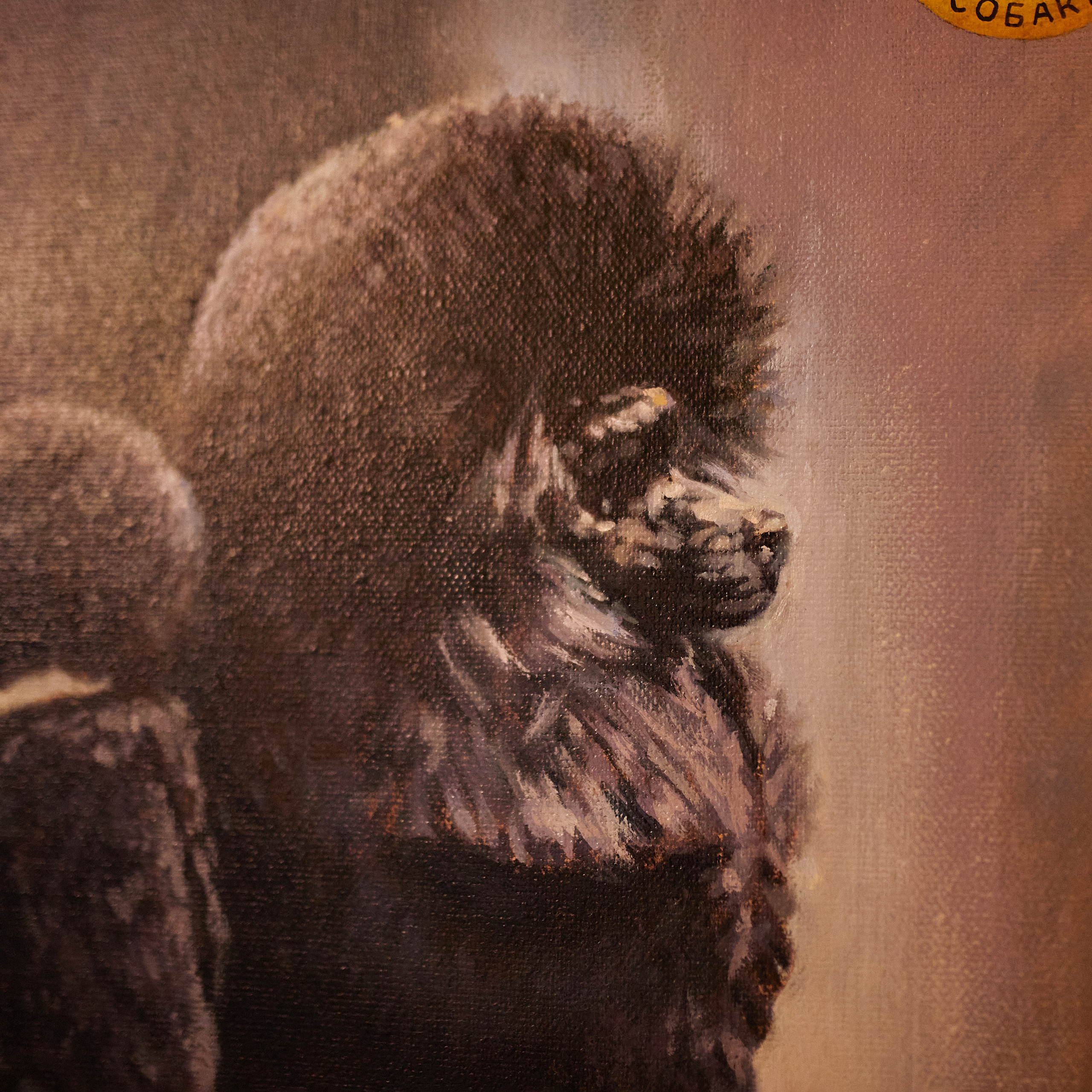 Репортаж с церемонии «BEST RUSSIAN DOG 2021». ФОТОГРАФ-АНИМАЛИСТ l LANA POLYAKOVA