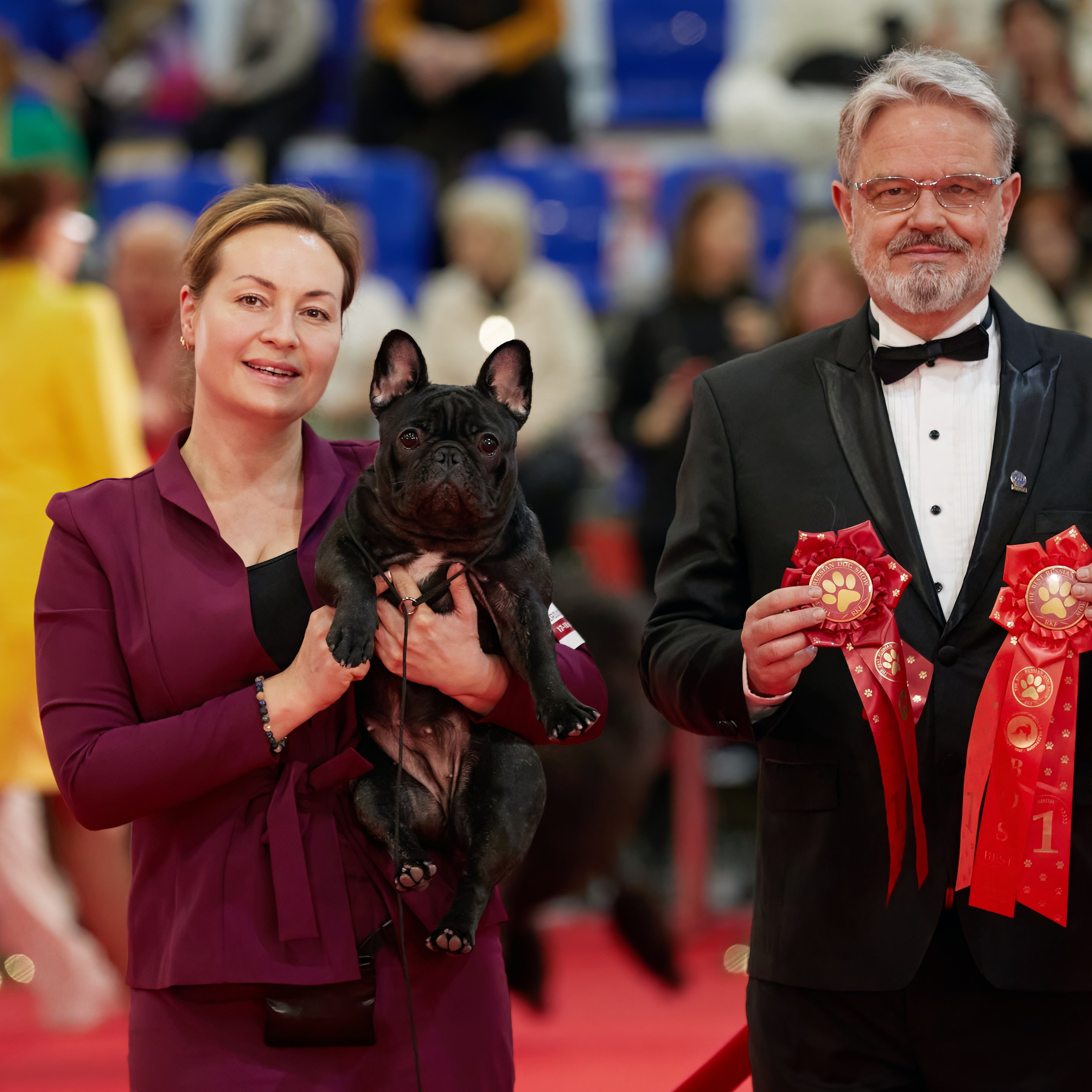 Новое шоу чемпионов «ЛУЧШИЕ СОБАКИ РОССИИ». ФОТОГРАФ-АНИМАЛИСТ l LANA POLYAKOVA