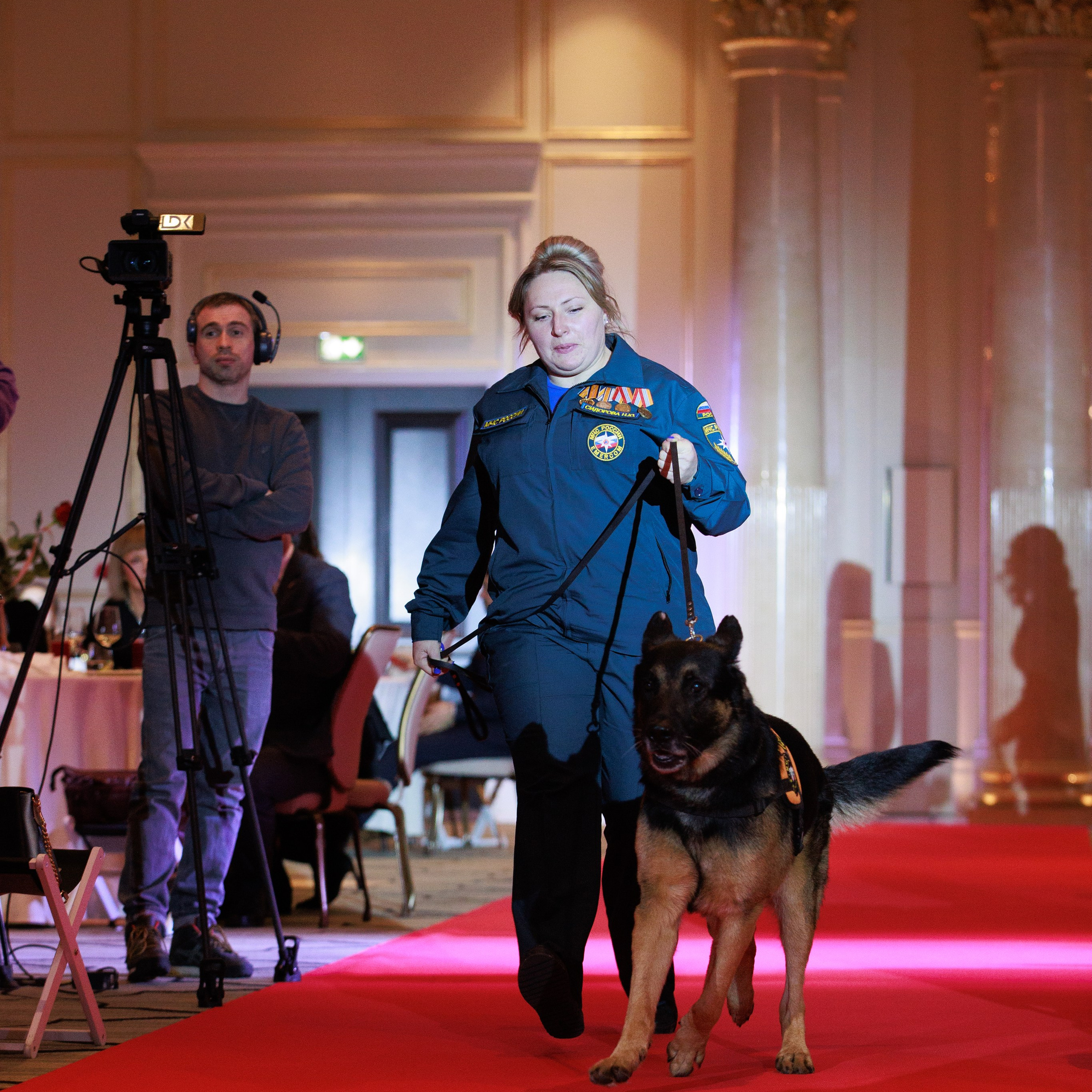 Репортаж с церемонии «BEST RUSSIAN DOG 2024». ФОТОГРАФ-АНИМАЛИСТ l LANA POLYAKOVA