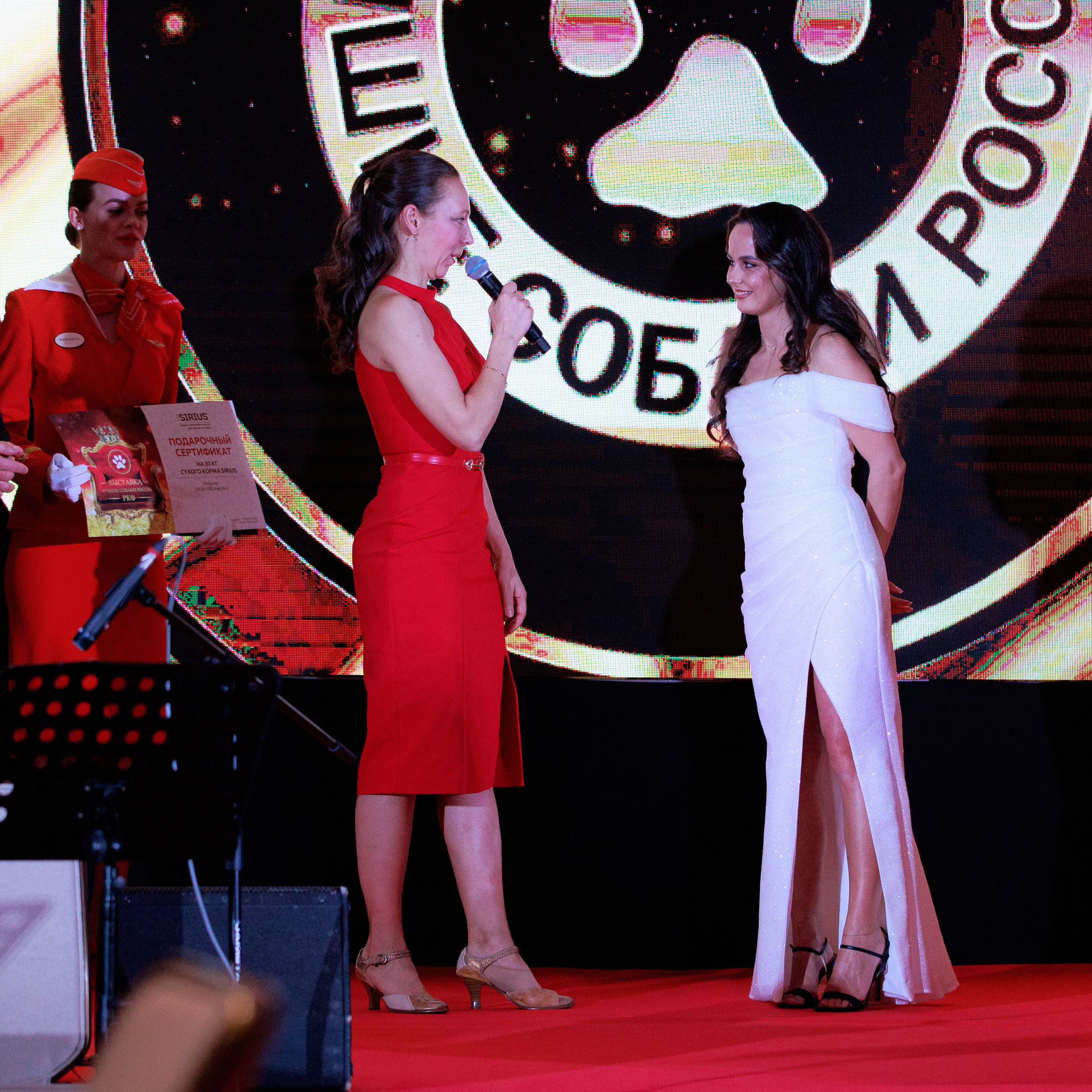 Репортаж с церемонии «BEST RUSSIAN DOG 2024». ФОТОГРАФ-АНИМАЛИСТ l LANA POLYAKOVA