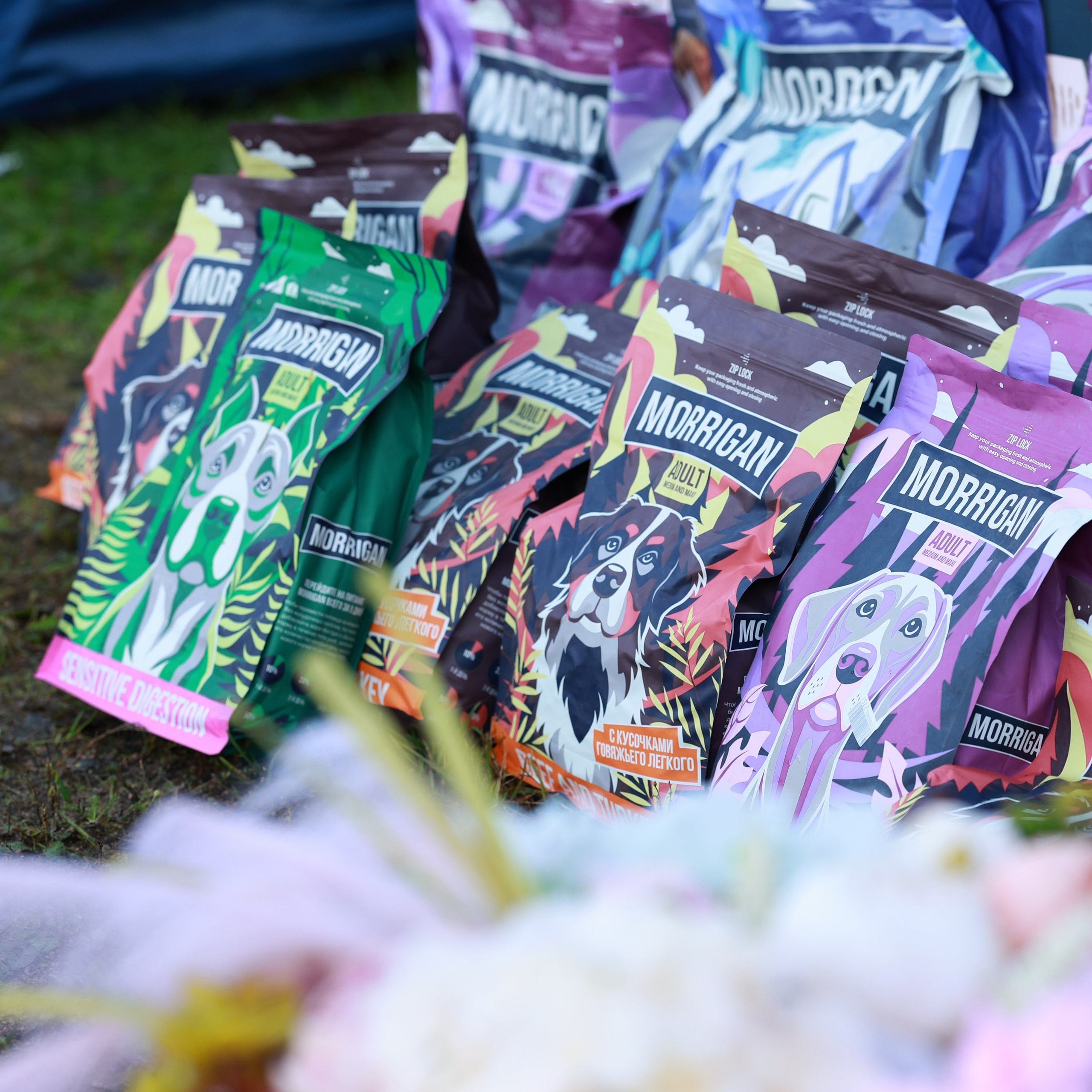 27-28.09.2025 ВЫСТАВКИ СОБАК ВСЕХ ПОРОД (САС, ЧРКФ, ЧФ). ФОТОГРАФ-АНИМАЛИСТ l LANA POLYAKOVA