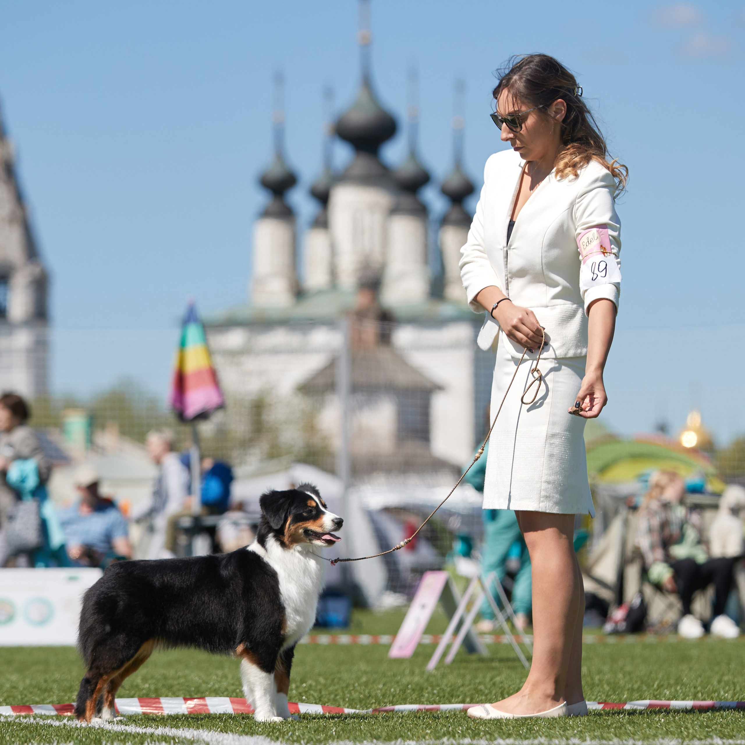 Отгремела «Суздаль-2024». ФОТОГРАФ-АНИМАЛИСТ l LANA POLYAKOVA