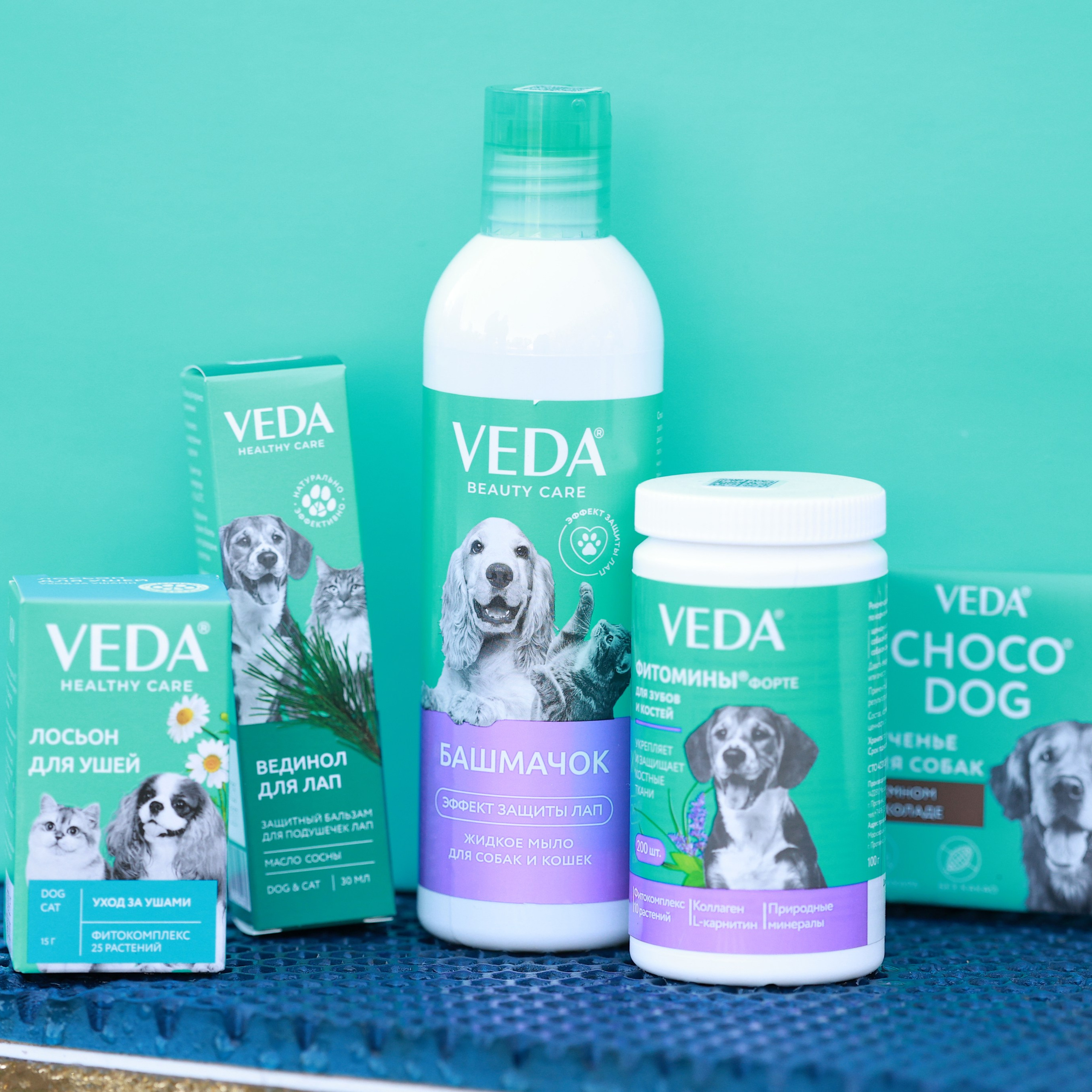 27-28.09.2025 ВЫСТАВКИ СОБАК ВСЕХ ПОРОД (САС, ЧРКФ, ЧФ). ФОТОГРАФ-АНИМАЛИСТ l LANA POLYAKOVA