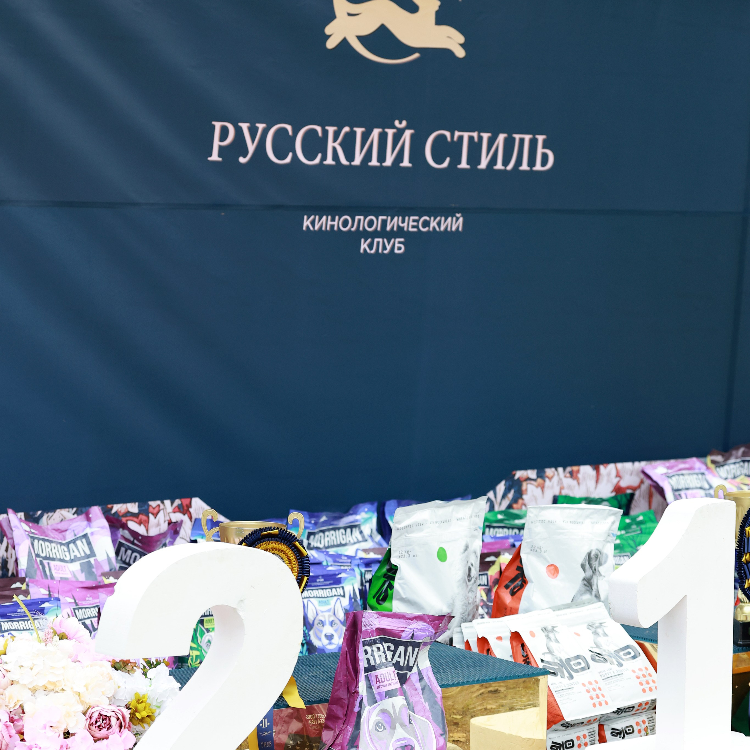 27-28.09.2025 ВЫСТАВКИ СОБАК ВСЕХ ПОРОД (САС, ЧРКФ, ЧФ). ФОТОГРАФ-АНИМАЛИСТ l LANA POLYAKOVA