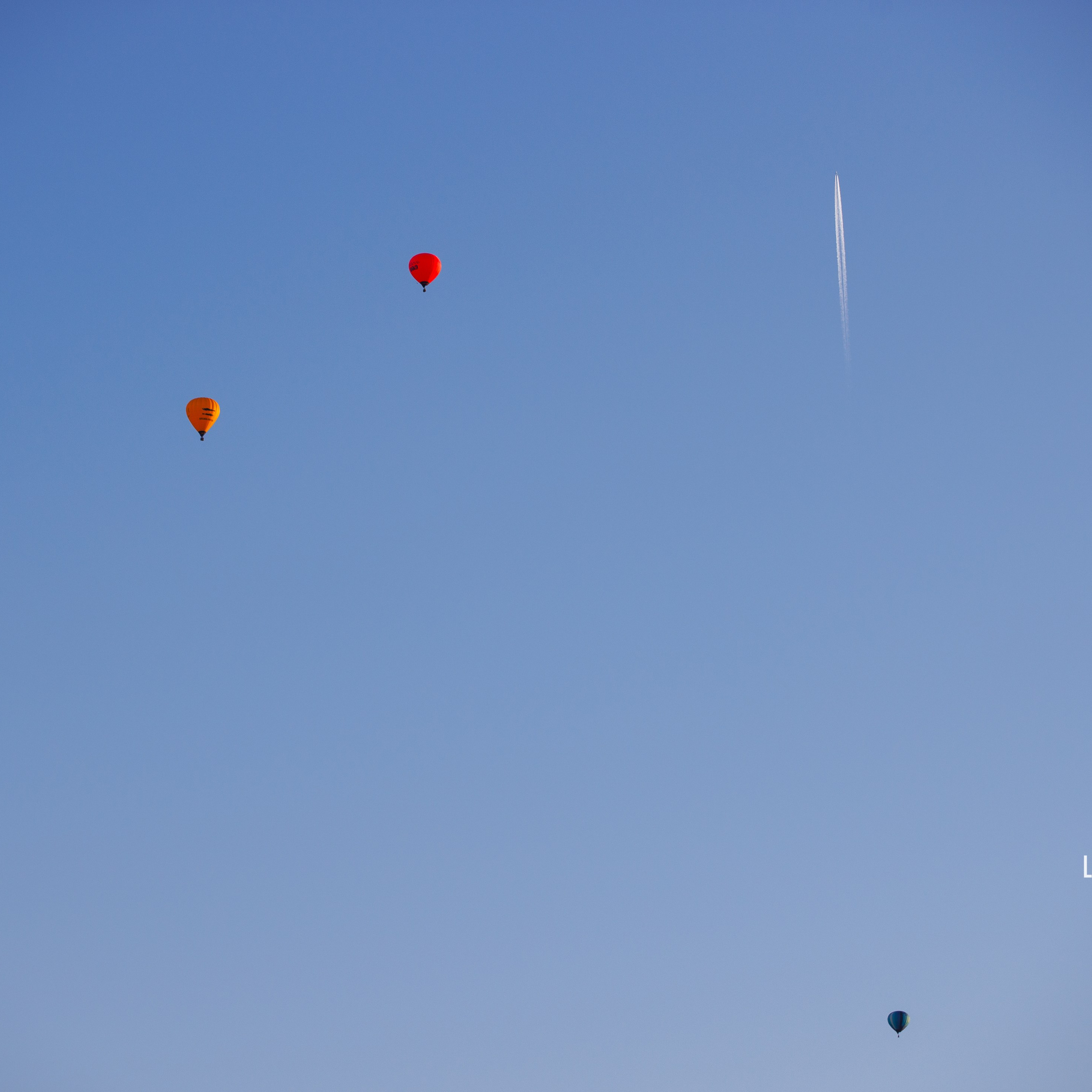 Отгремела «Суздаль-2024». ФОТОГРАФ-АНИМАЛИСТ l LANA POLYAKOVA