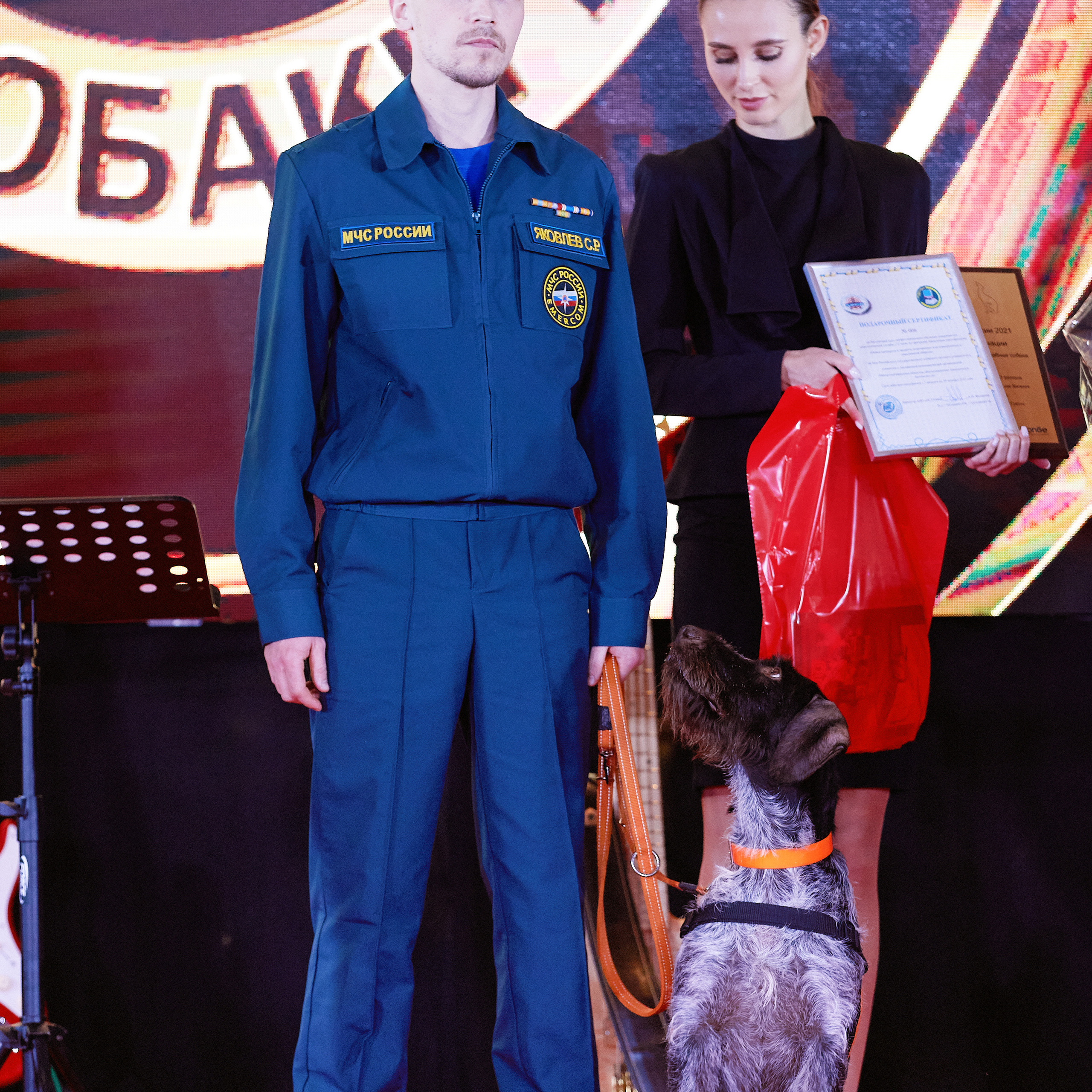 Репортаж с церемонии «BEST RUSSIAN DOG 2021». ФОТОГРАФ-АНИМАЛИСТ l LANA POLYAKOVA