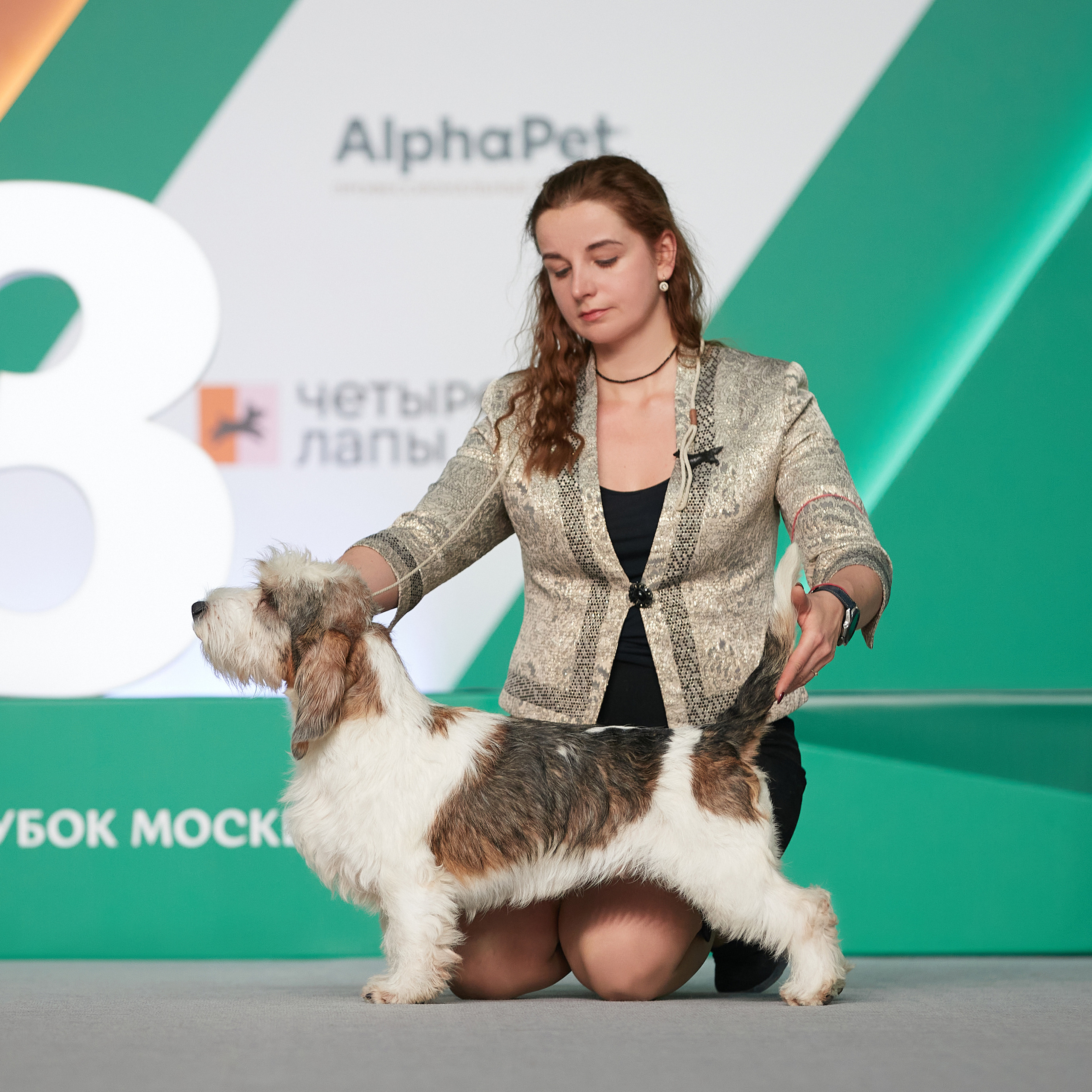 «Россия» в Крокусе. ФОТОГРАФ-АНИМАЛИСТ l LANA POLYAKOVA