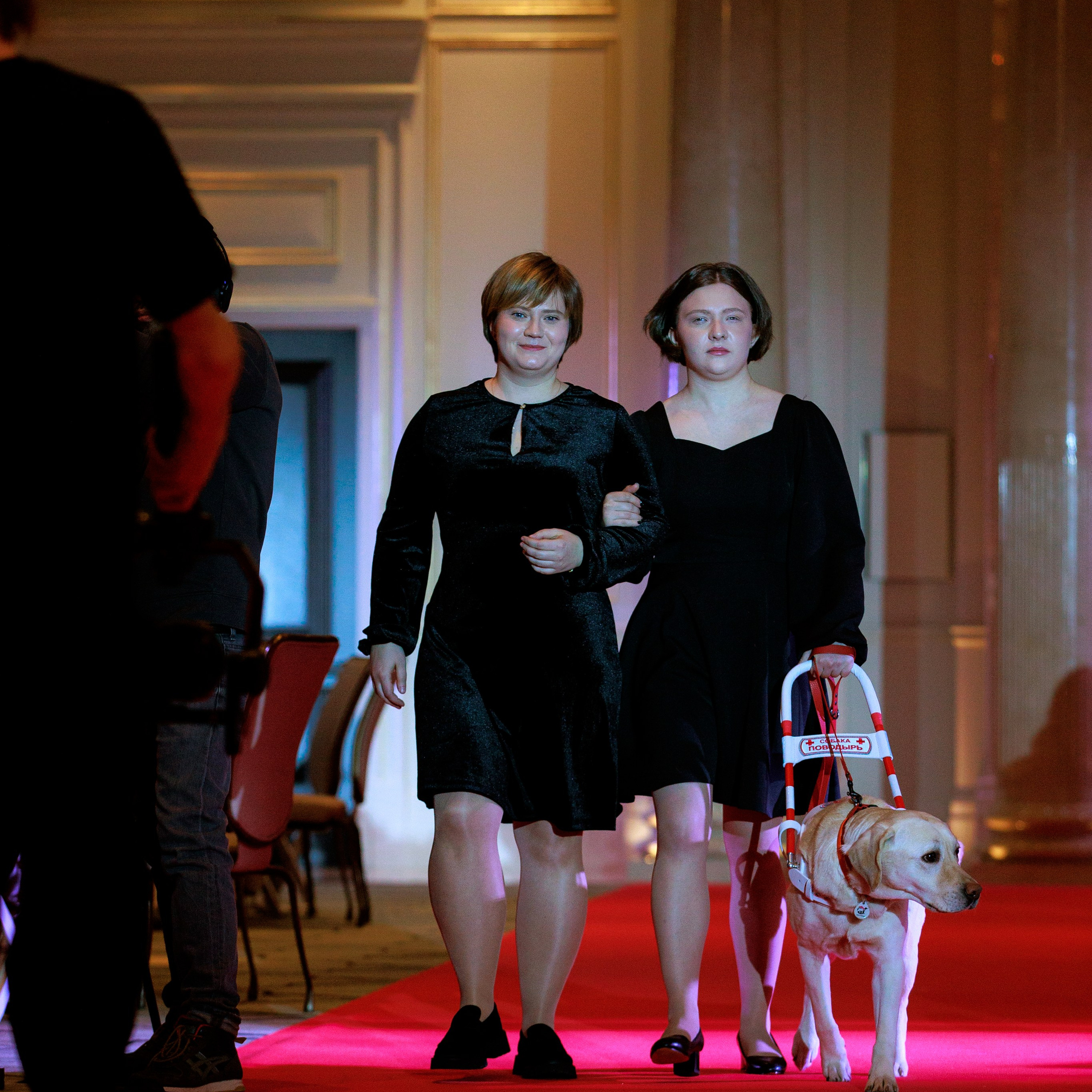 Репортаж с церемонии «BEST RUSSIAN DOG 2024». ФОТОГРАФ-АНИМАЛИСТ l LANA POLYAKOVA