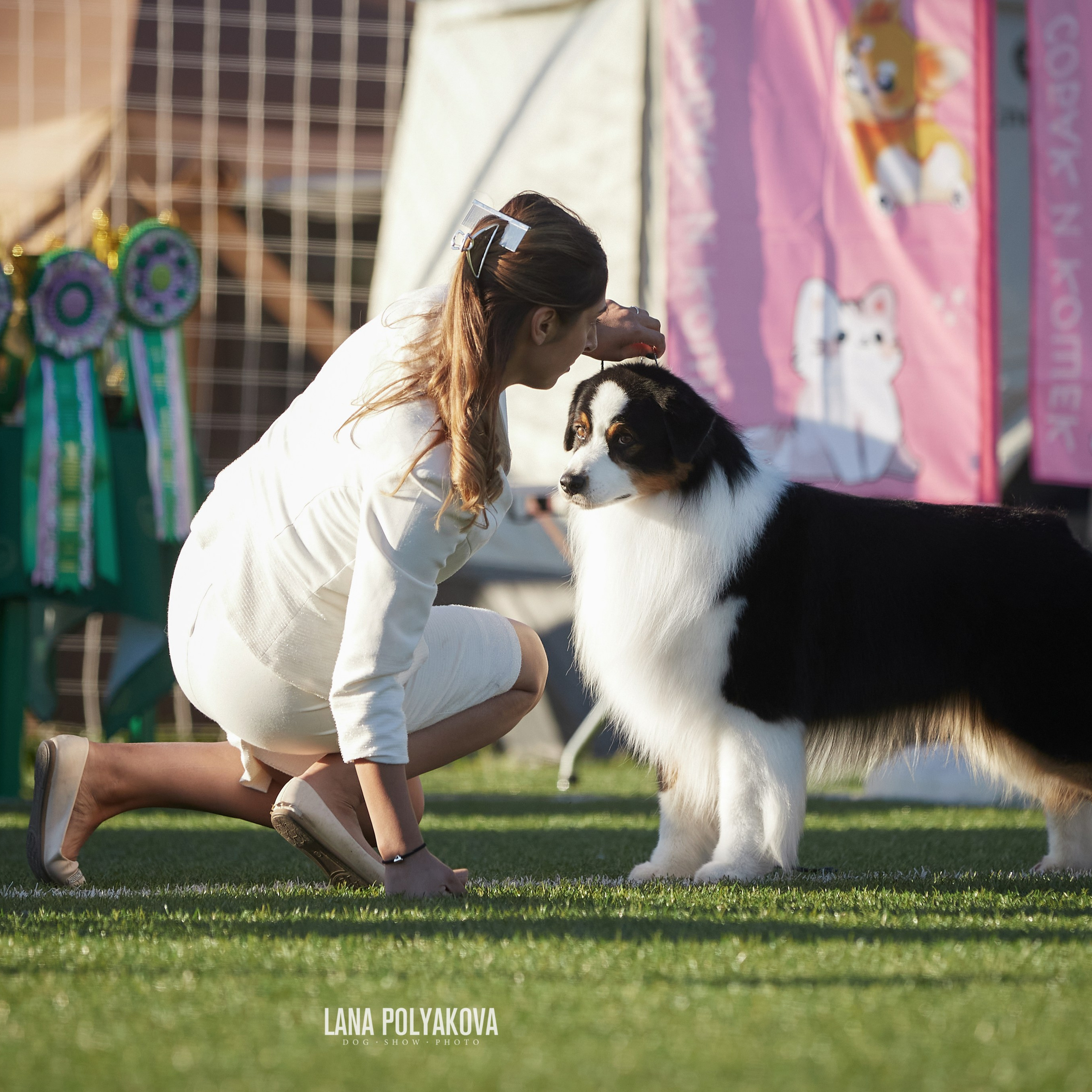 Отгремела «Суздаль-2024». ФОТОГРАФ-АНИМАЛИСТ l LANA POLYAKOVA