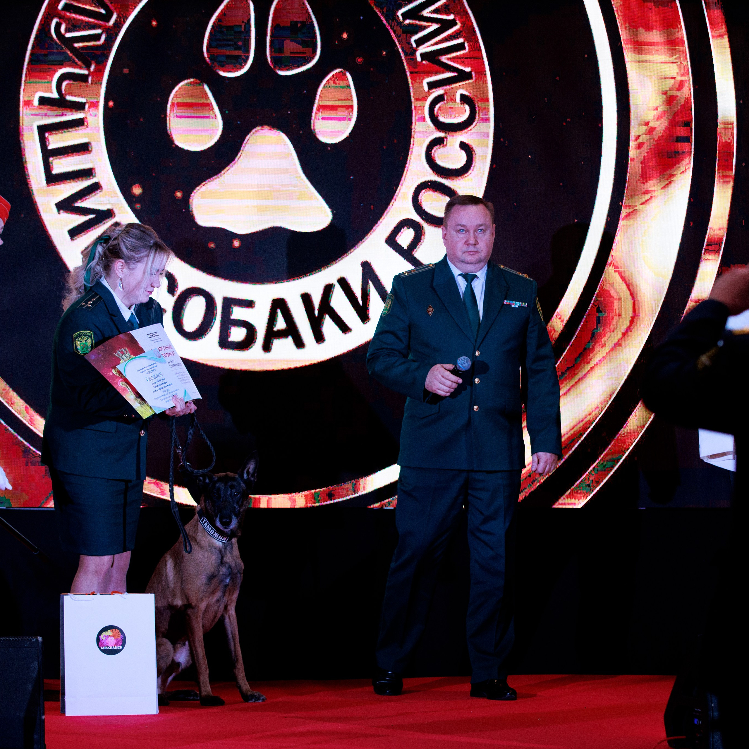 Репортаж с церемонии «BEST RUSSIAN DOG 2024». ФОТОГРАФ-АНИМАЛИСТ l LANA POLYAKOVA