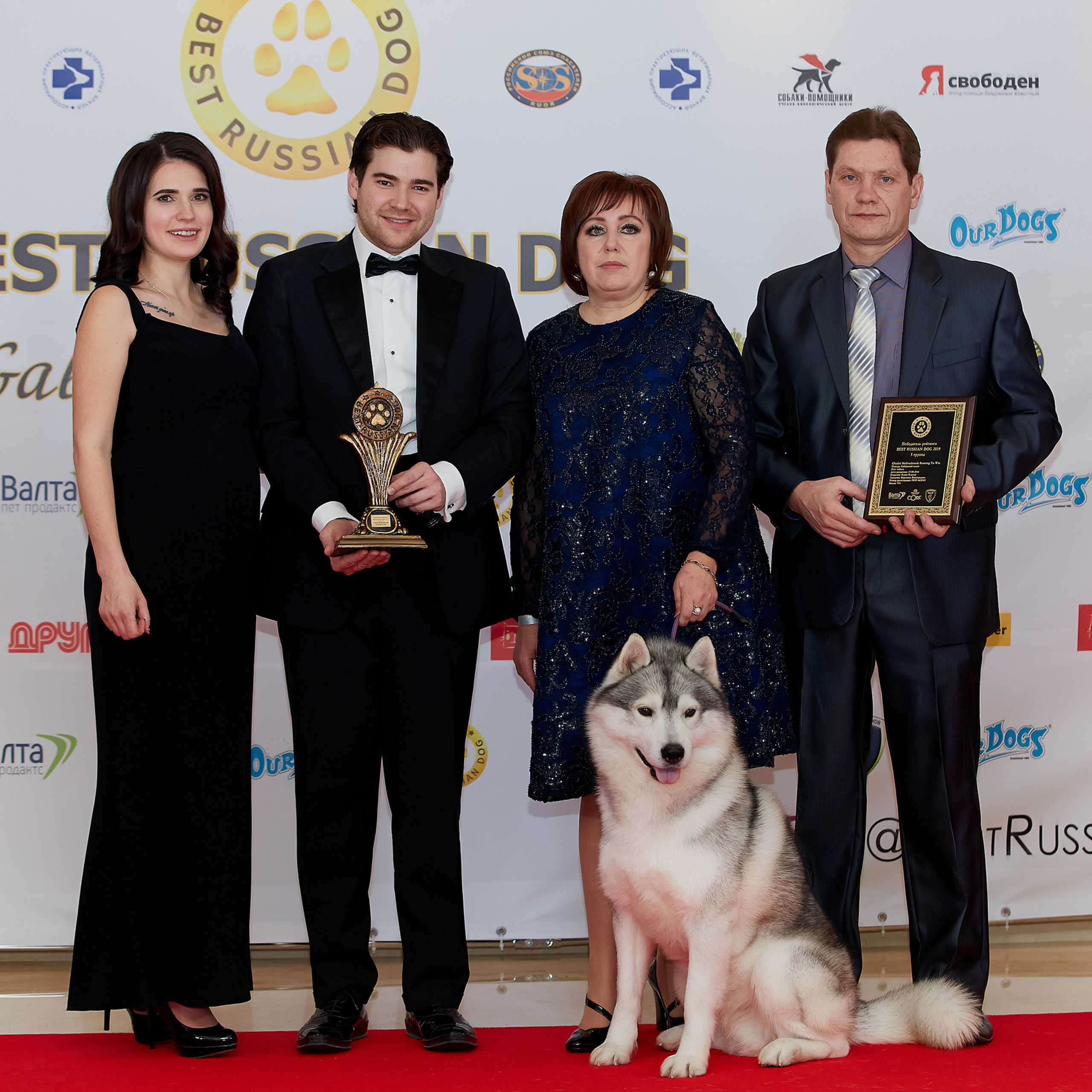 НАГРАЖДЕНИЕ ПОБЕДИТЕЛЕЙ РЕЙТИНГА «BEST RUSSIAN DOG». ФОТОГРАФ-АНИМАЛИСТ l LANA POLYAKOVA
