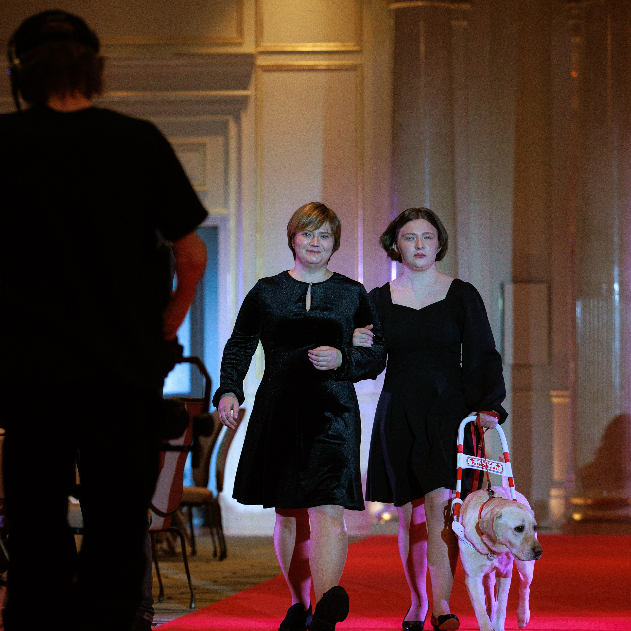 Репортаж с церемонии «BEST RUSSIAN DOG 2024». ФОТОГРАФ-АНИМАЛИСТ l LANA POLYAKOVA