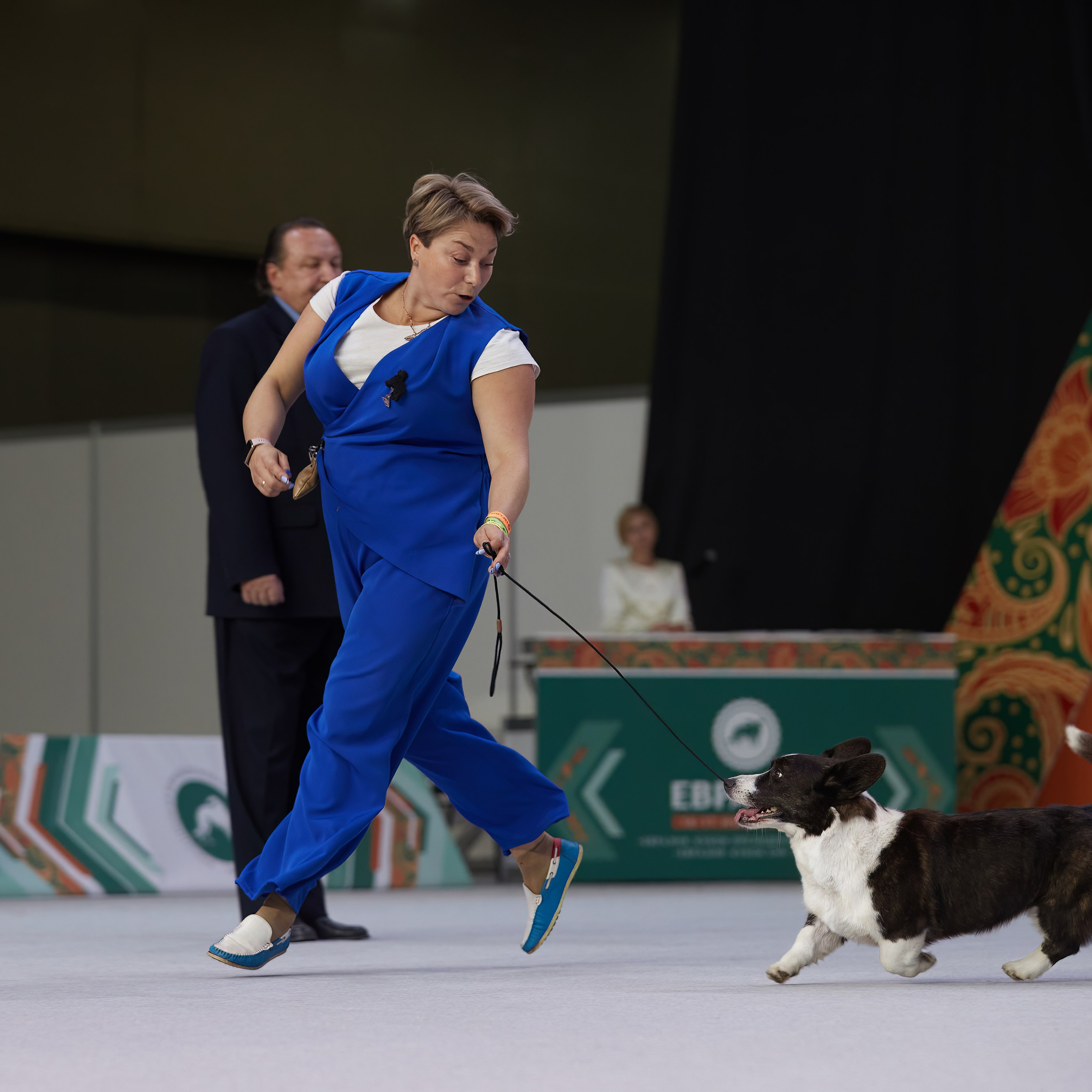 «ЕВРАЗИЯ-2024». ФОТОГРАФ-АНИМАЛИСТ l LANA POLYAKOVA