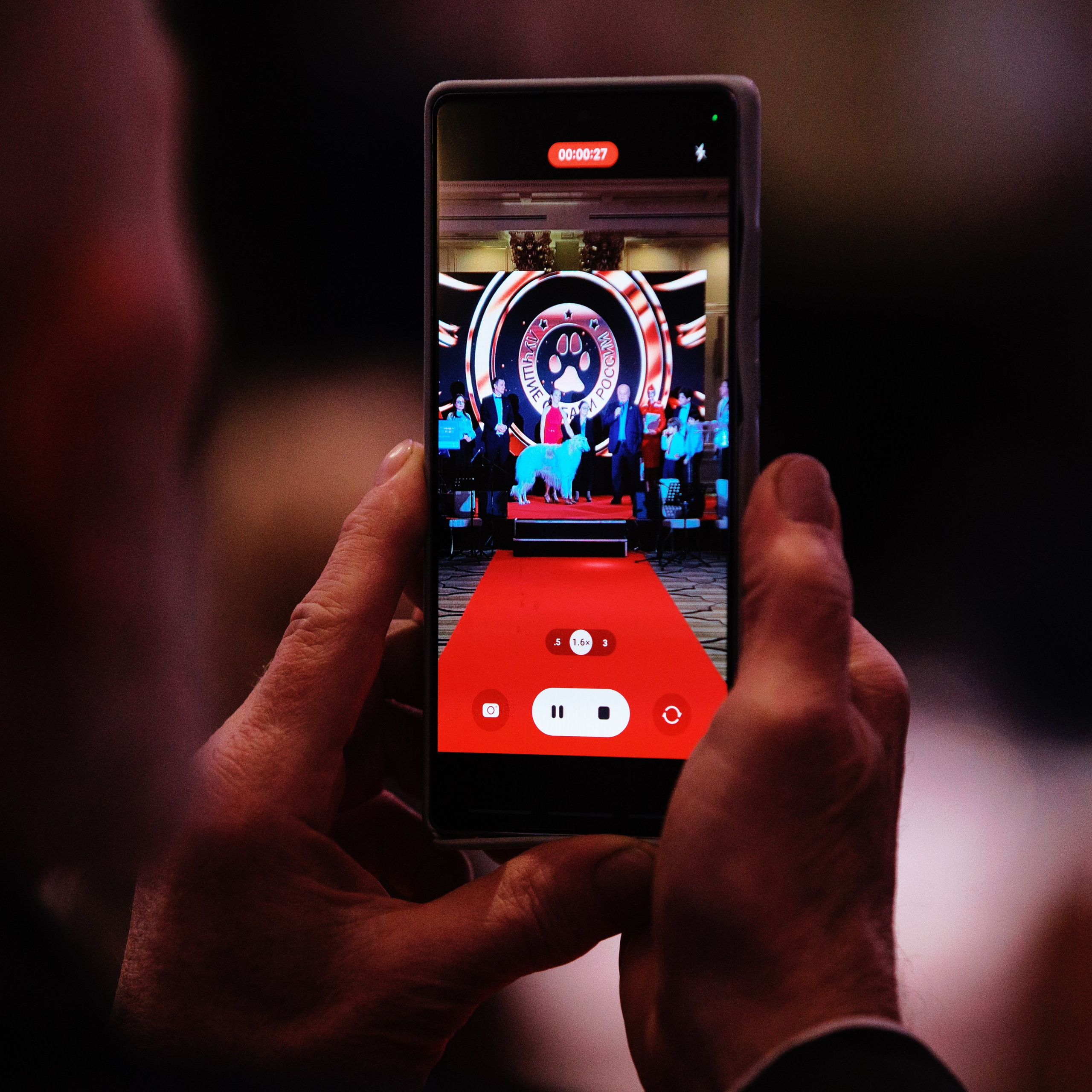 Репортаж с церемонии «BEST RUSSIAN DOG 2024». ФОТОГРАФ-АНИМАЛИСТ l LANA POLYAKOVA