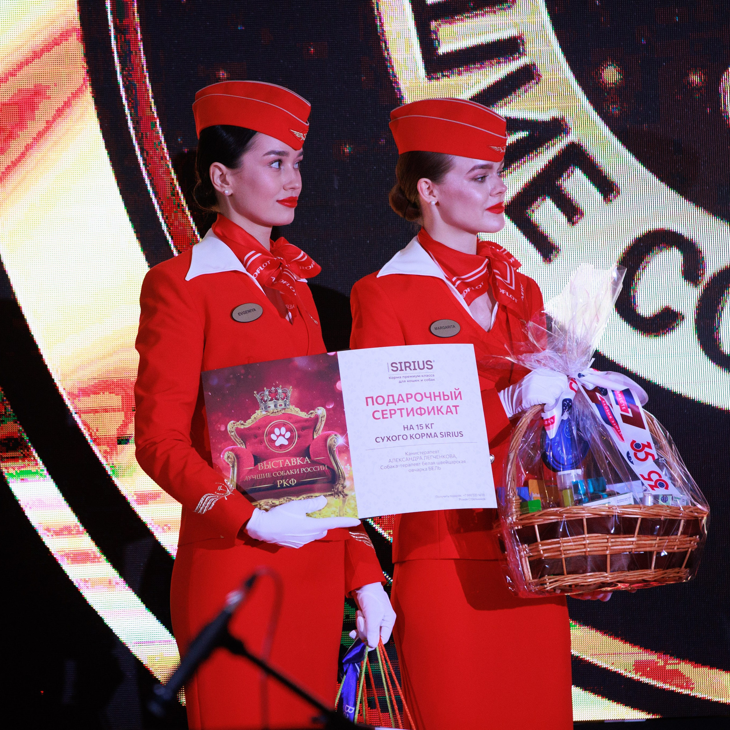 Репортаж с церемонии «BEST RUSSIAN DOG 2024». ФОТОГРАФ-АНИМАЛИСТ l LANA POLYAKOVA