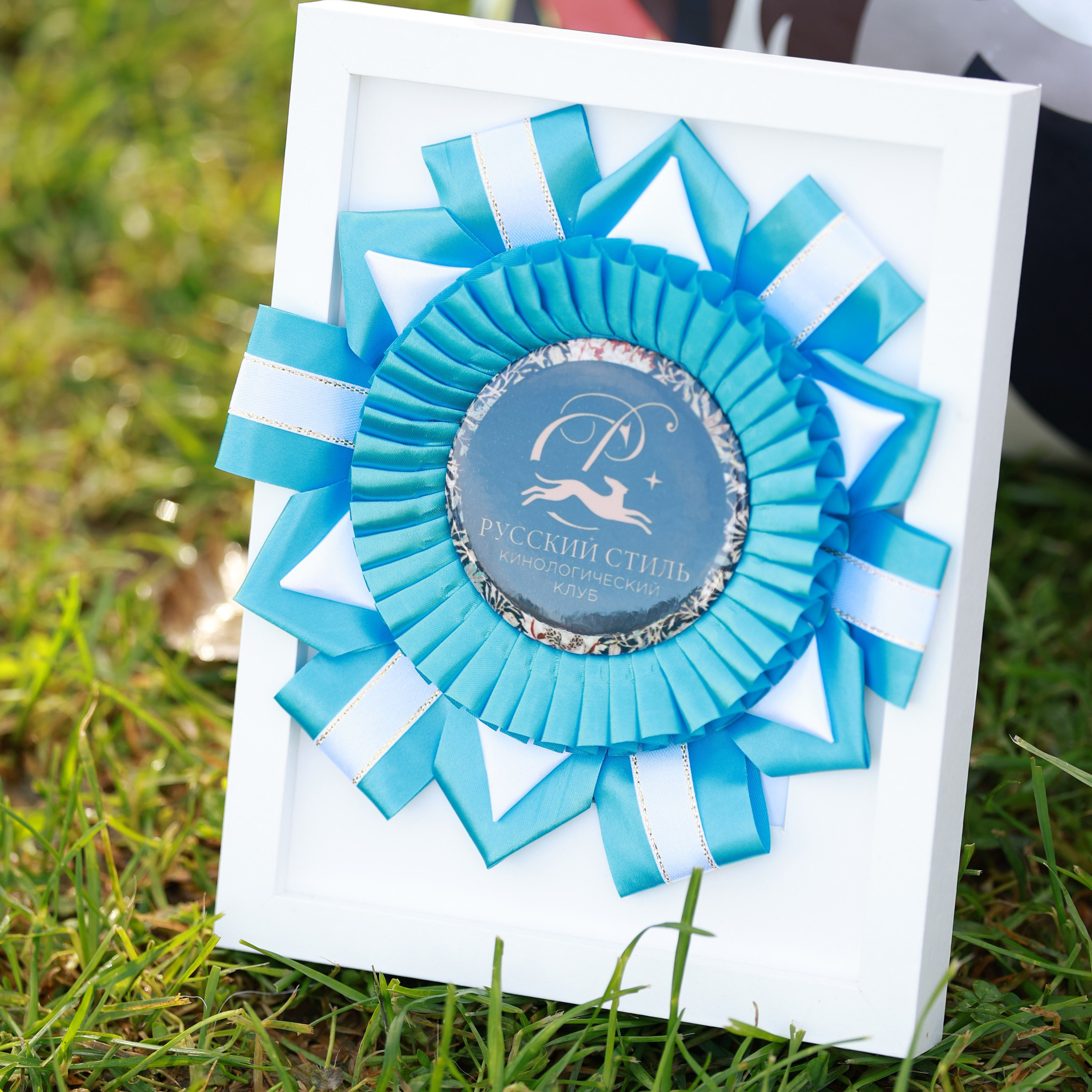 27-28.09.2025 ВЫСТАВКИ СОБАК ВСЕХ ПОРОД (САС, ЧРКФ, ЧФ). ФОТОГРАФ-АНИМАЛИСТ l LANA POLYAKOVA