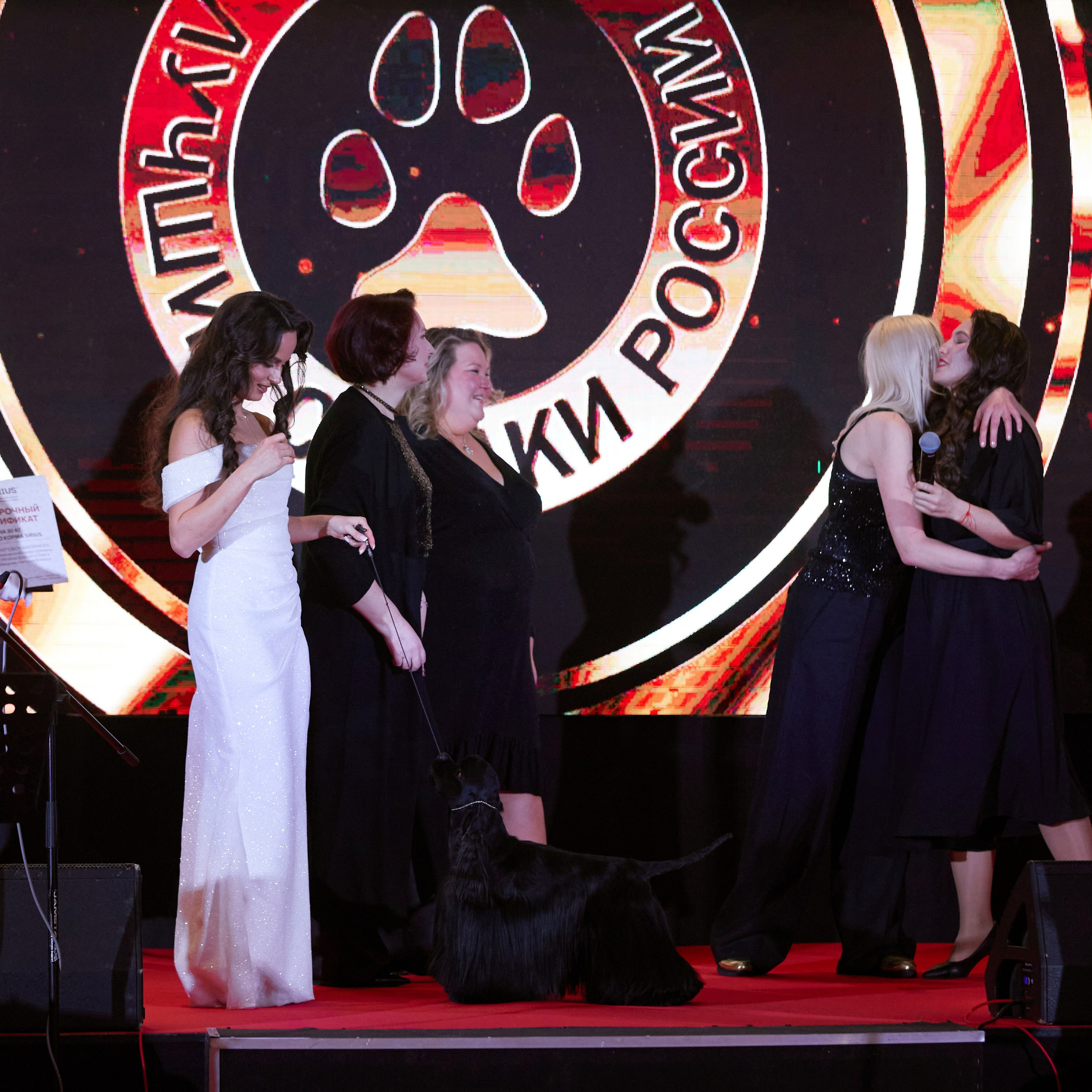 Репортаж с церемонии «BEST RUSSIAN DOG 2024». ФОТОГРАФ-АНИМАЛИСТ l LANA POLYAKOVA