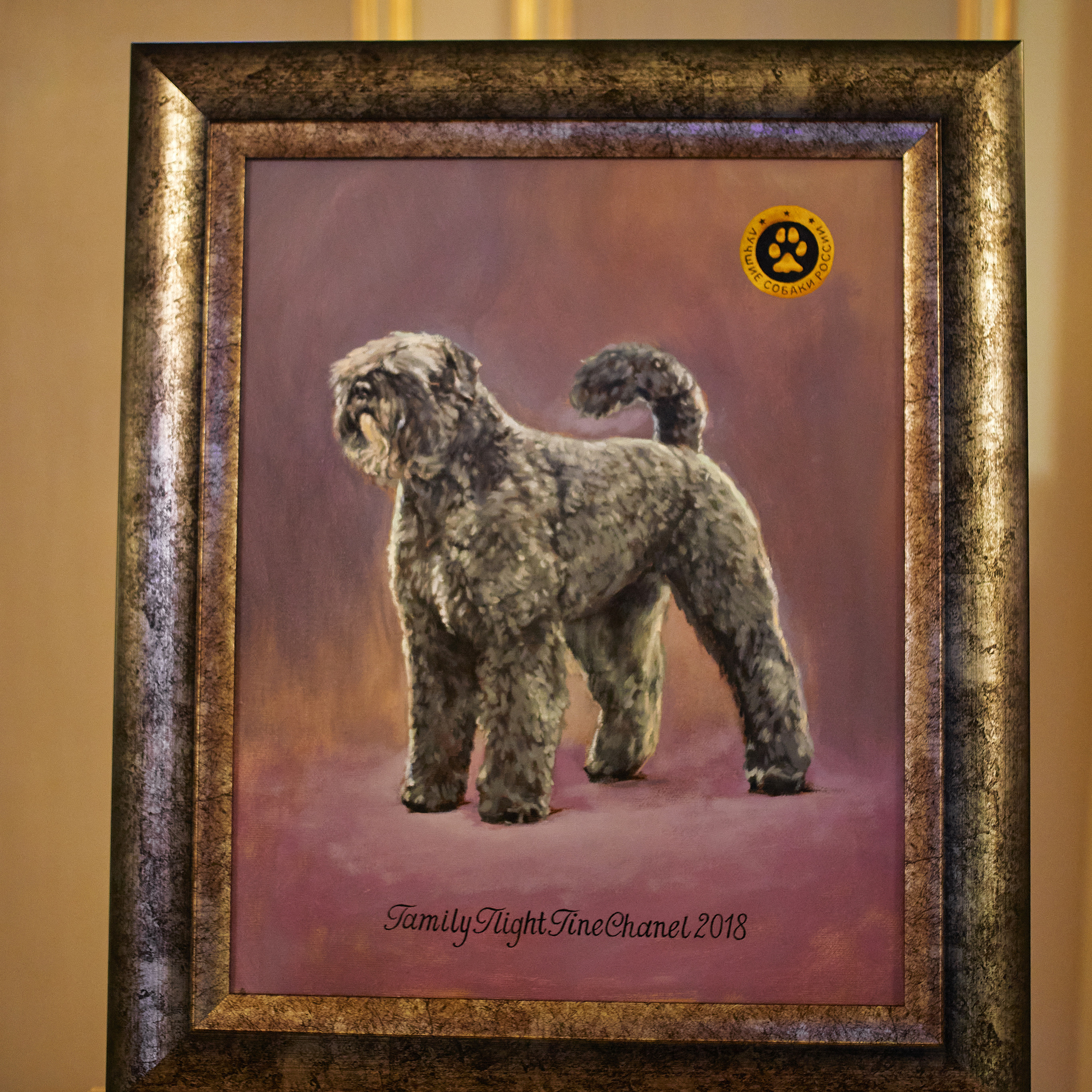 Репортаж с церемонии «BEST RUSSIAN DOG 2021». ФОТОГРАФ-АНИМАЛИСТ l LANA POLYAKOVA