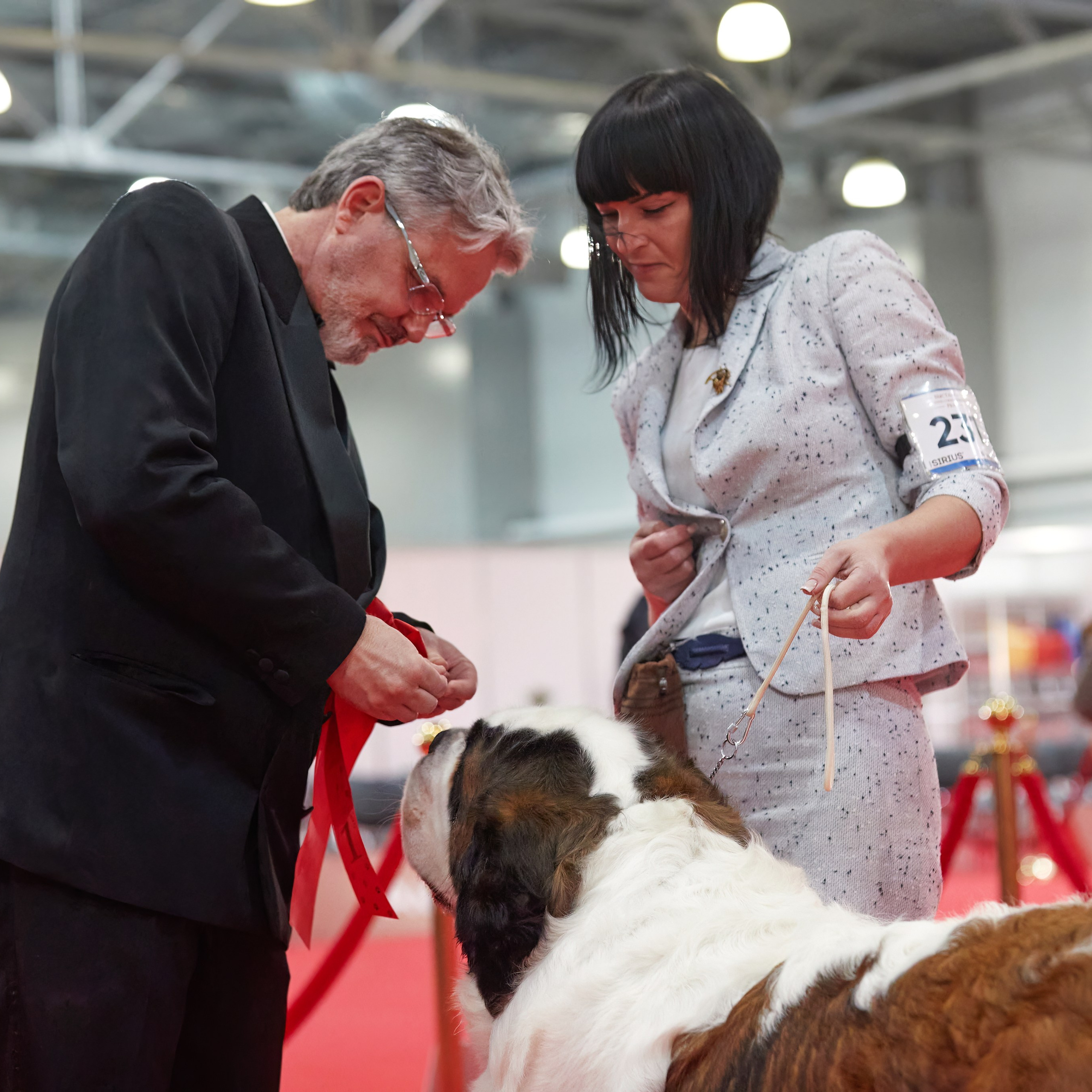 Новое шоу чемпионов «ЛУЧШИЕ СОБАКИ РОССИИ». ФОТОГРАФ-АНИМАЛИСТ l LANA POLYAKOVA