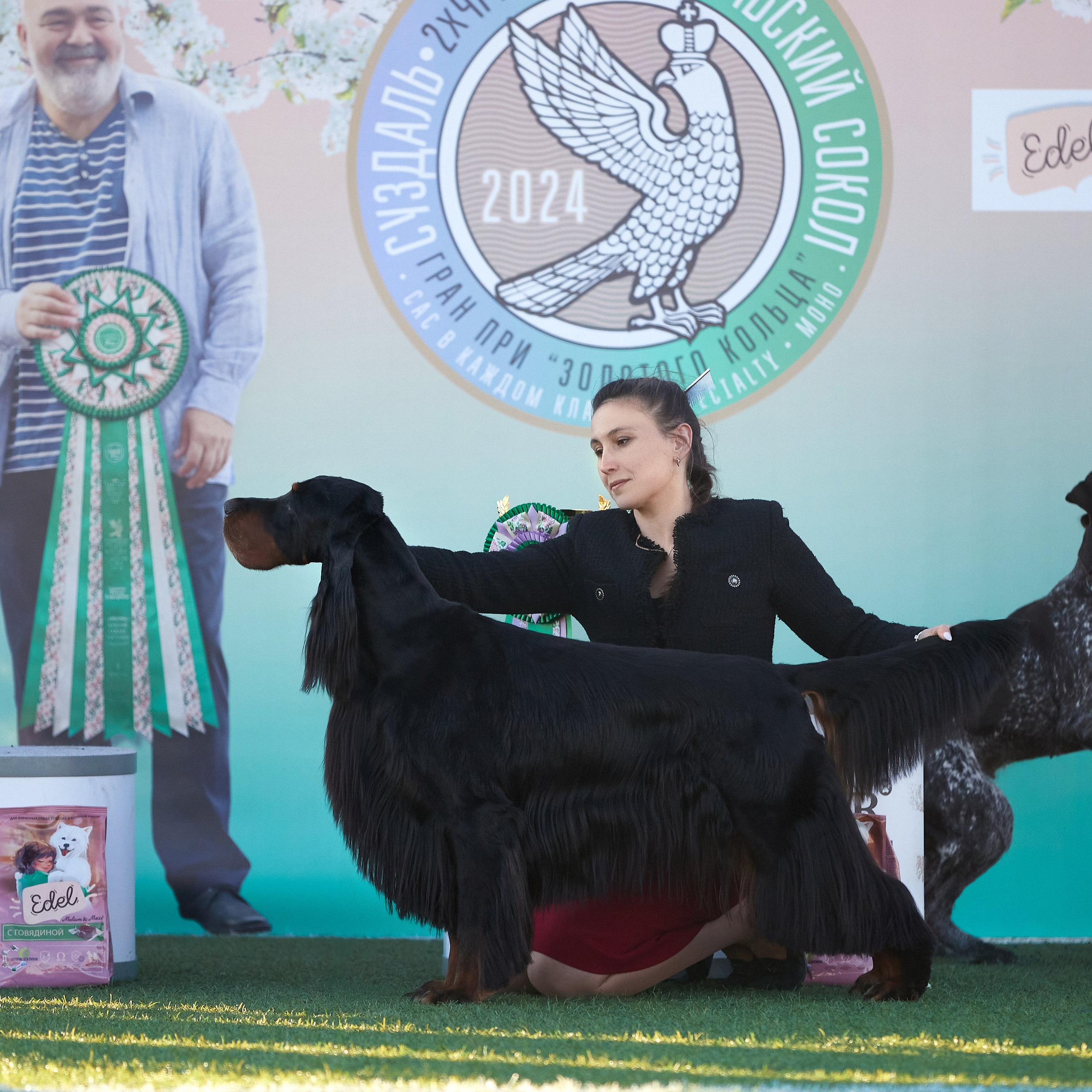 Отгремела «Суздаль-2024». ФОТОГРАФ-АНИМАЛИСТ l LANA POLYAKOVA