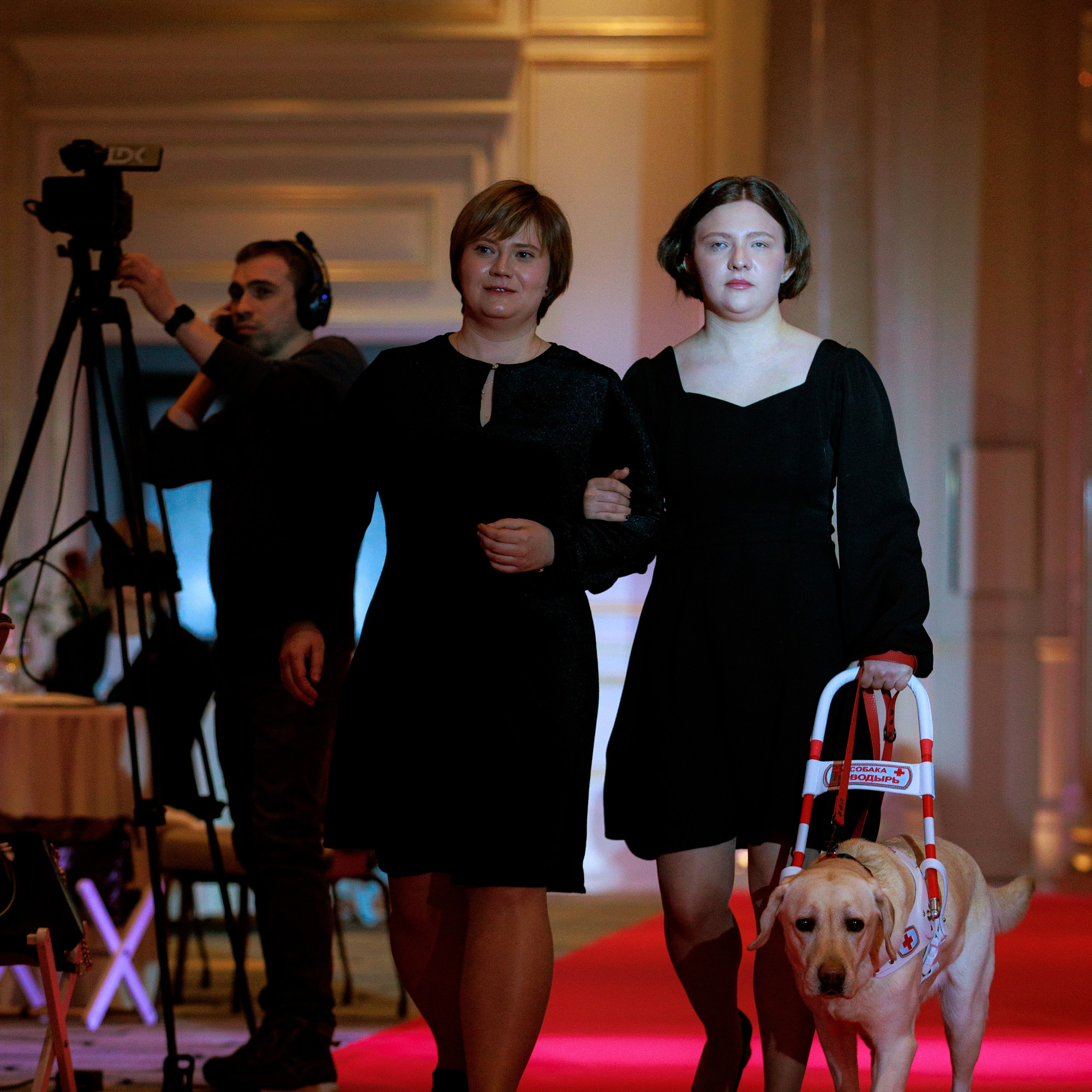 Репортаж с церемонии «BEST RUSSIAN DOG 2024». ФОТОГРАФ-АНИМАЛИСТ l LANA POLYAKOVA