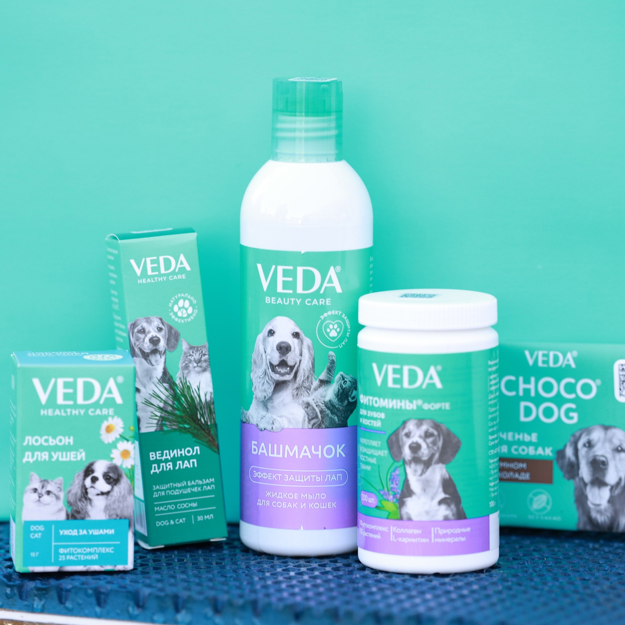 27-28.09.2025 ВЫСТАВКИ СОБАК ВСЕХ ПОРОД (САС, ЧРКФ, ЧФ). ФОТОГРАФ-АНИМАЛИСТ l LANA POLYAKOVA