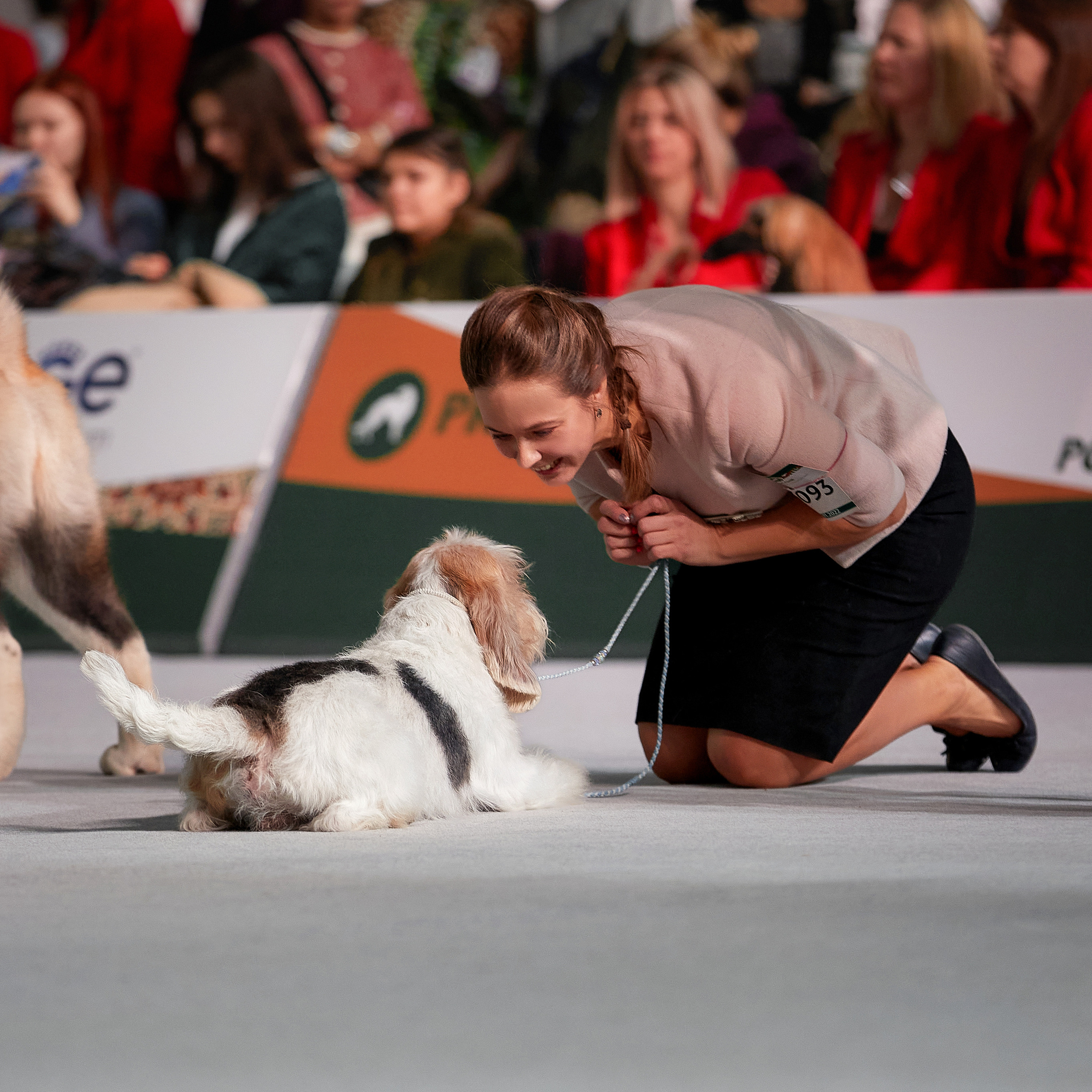 «Россия» в Крокусе. ФОТОГРАФ-АНИМАЛИСТ l LANA POLYAKOVA