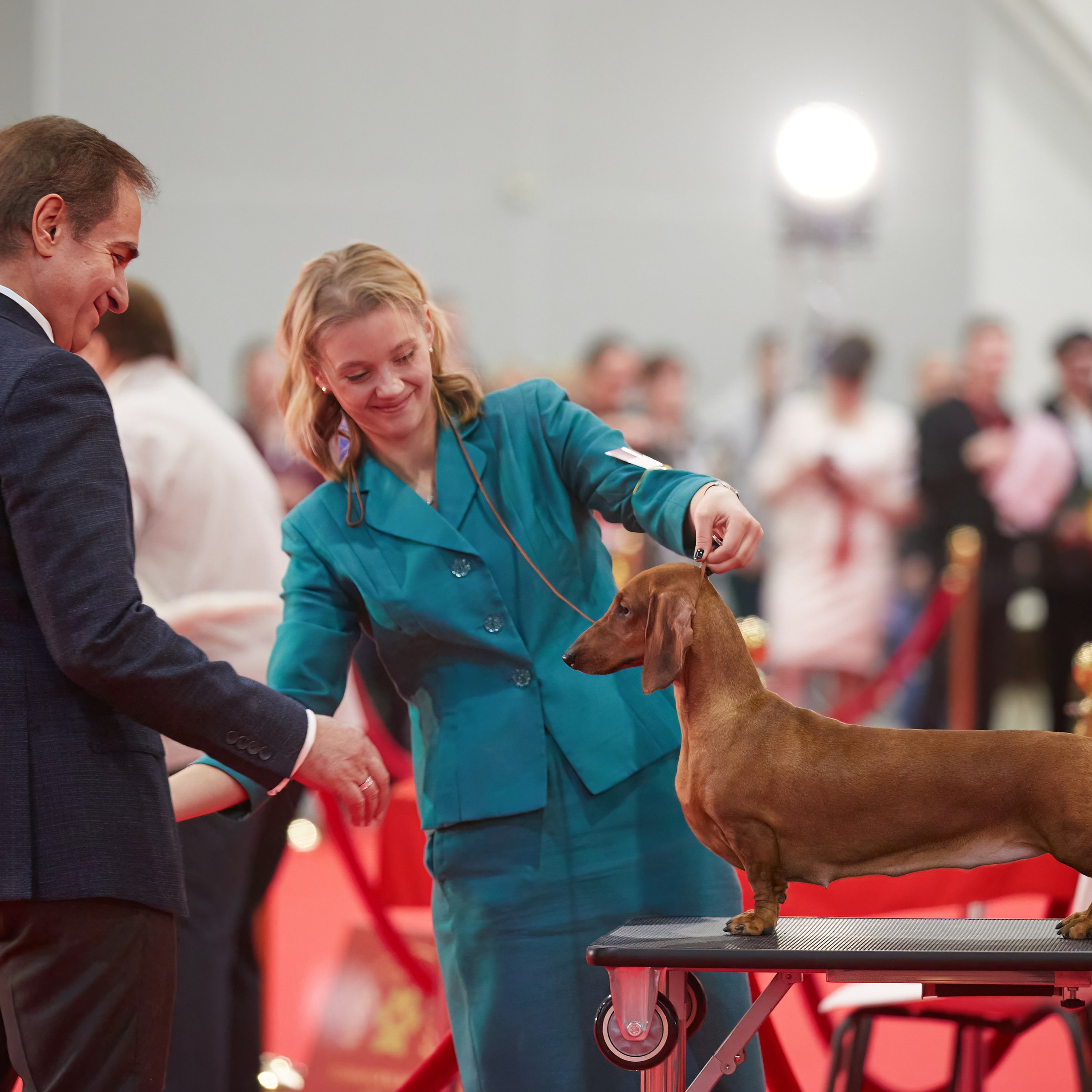 Новое шоу чемпионов «ЛУЧШИЕ СОБАКИ РОССИИ». ФОТОГРАФ-АНИМАЛИСТ l LANA POLYAKOVA
