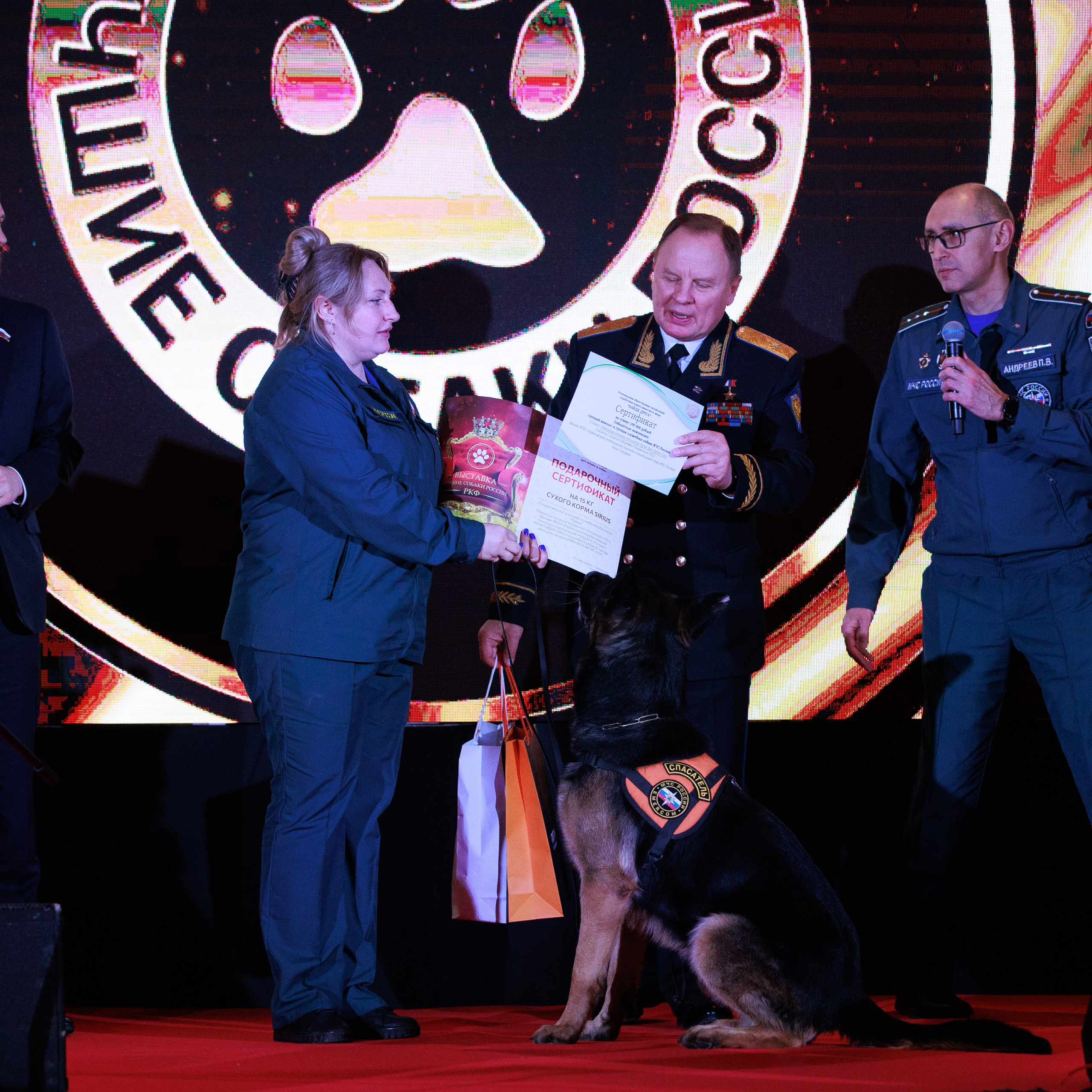 Репортаж с церемонии «BEST RUSSIAN DOG 2024». ФОТОГРАФ-АНИМАЛИСТ l LANA POLYAKOVA
