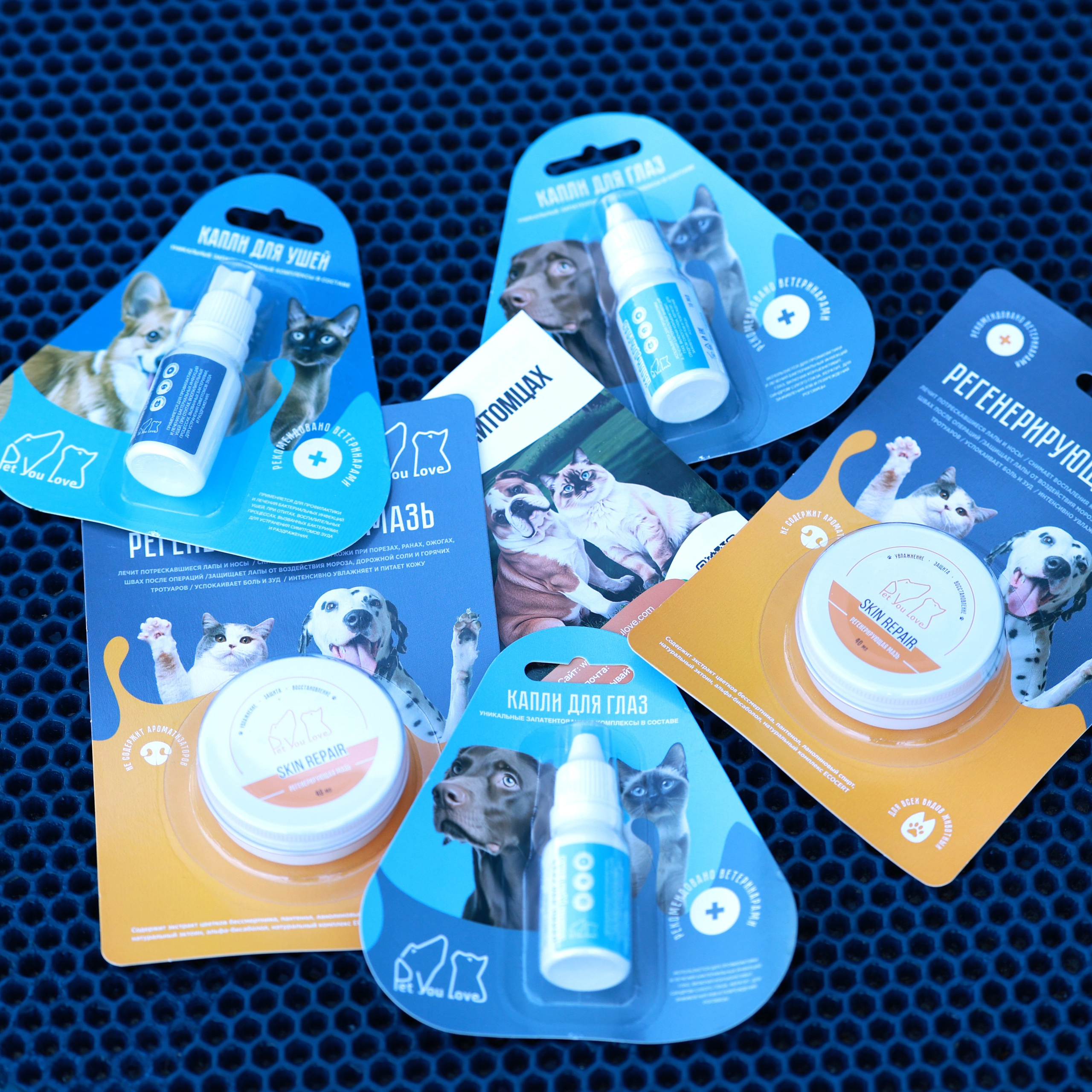 27-28.09.2025 ВЫСТАВКИ СОБАК ВСЕХ ПОРОД (САС, ЧРКФ, ЧФ). ФОТОГРАФ-АНИМАЛИСТ l LANA POLYAKOVA