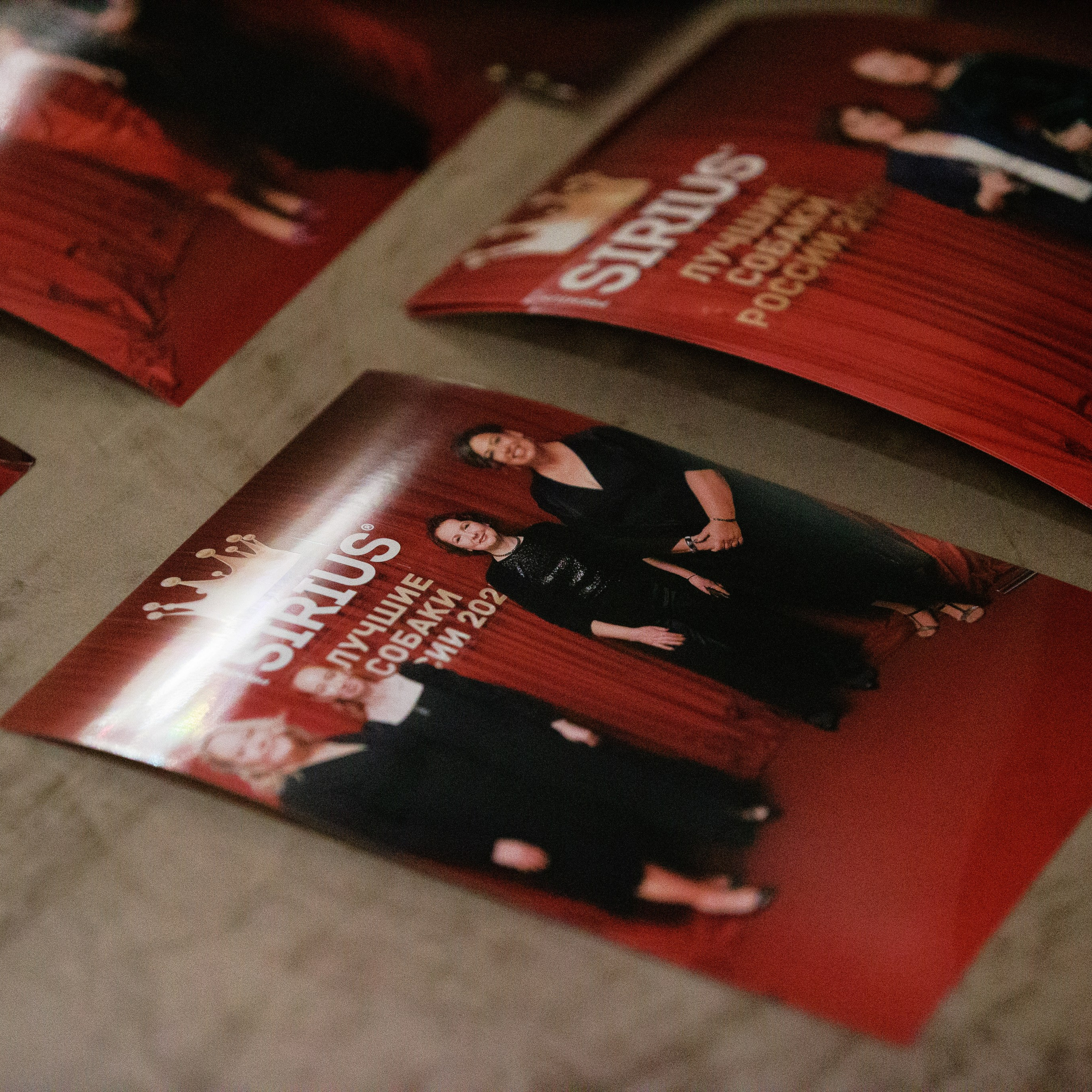 Репортаж с церемонии «BEST RUSSIAN DOG 2024». ФОТОГРАФ-АНИМАЛИСТ l LANA POLYAKOVA