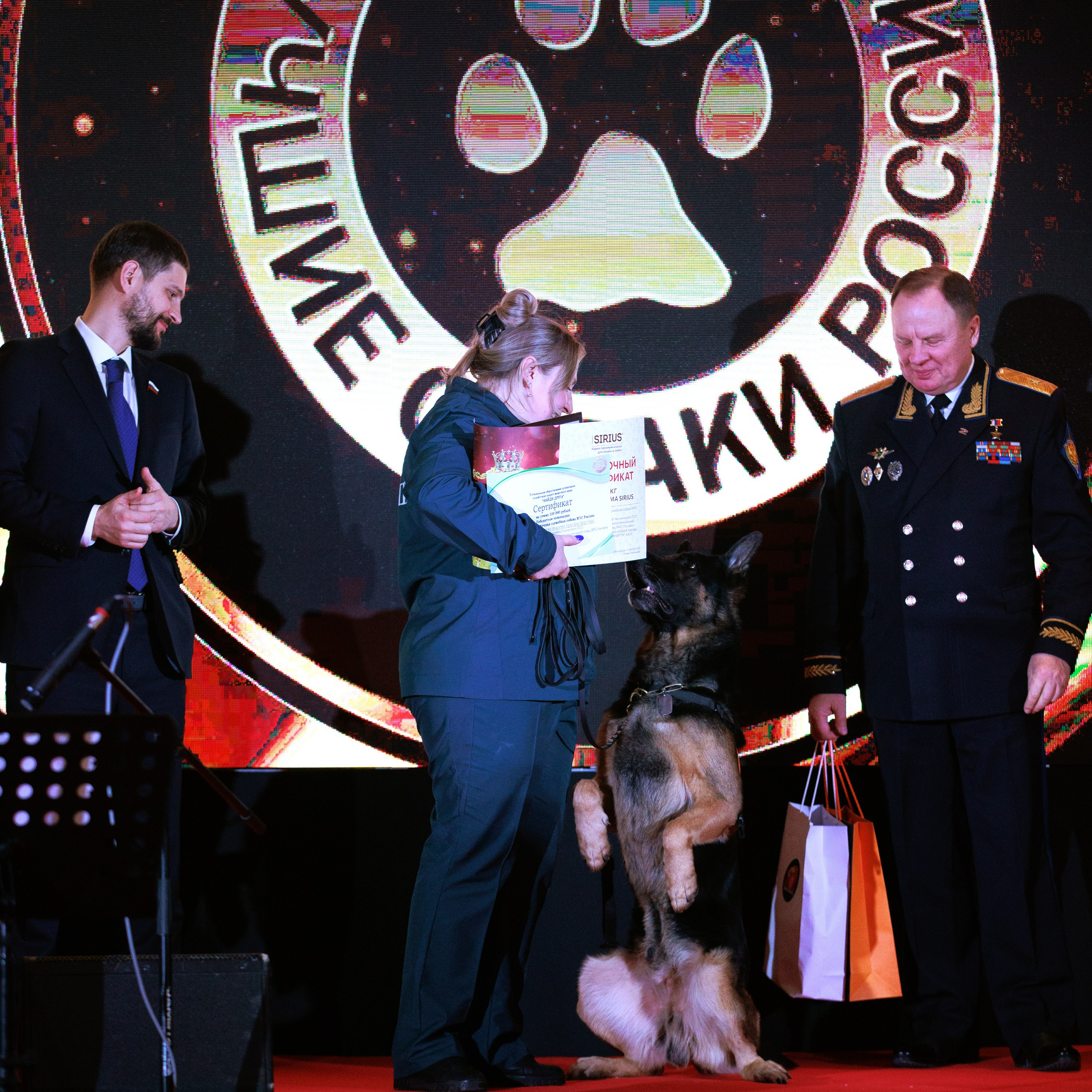 Репортаж с церемонии «BEST RUSSIAN DOG 2024». ФОТОГРАФ-АНИМАЛИСТ l LANA POLYAKOVA