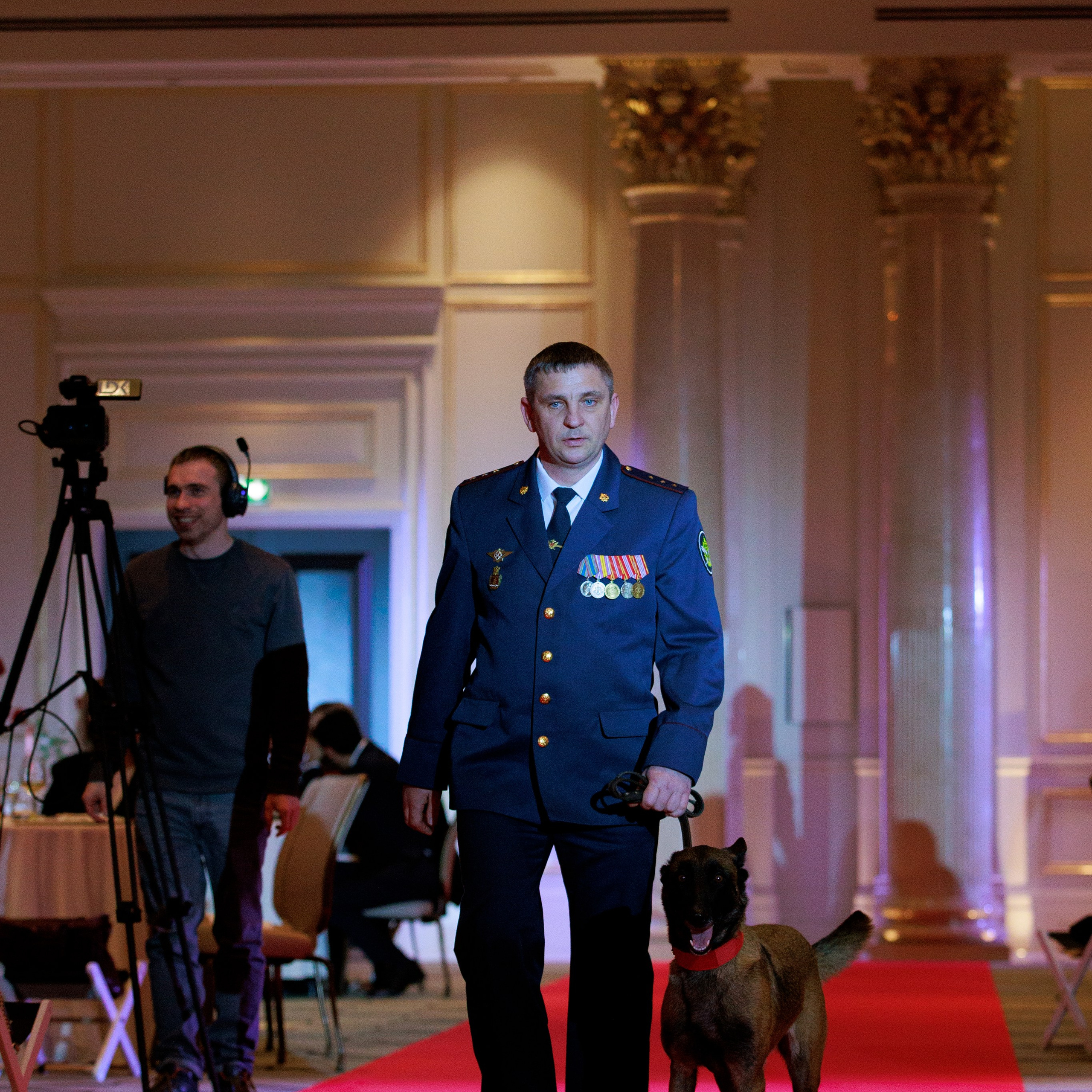 Репортаж с церемонии «BEST RUSSIAN DOG 2024». ФОТОГРАФ-АНИМАЛИСТ l LANA POLYAKOVA