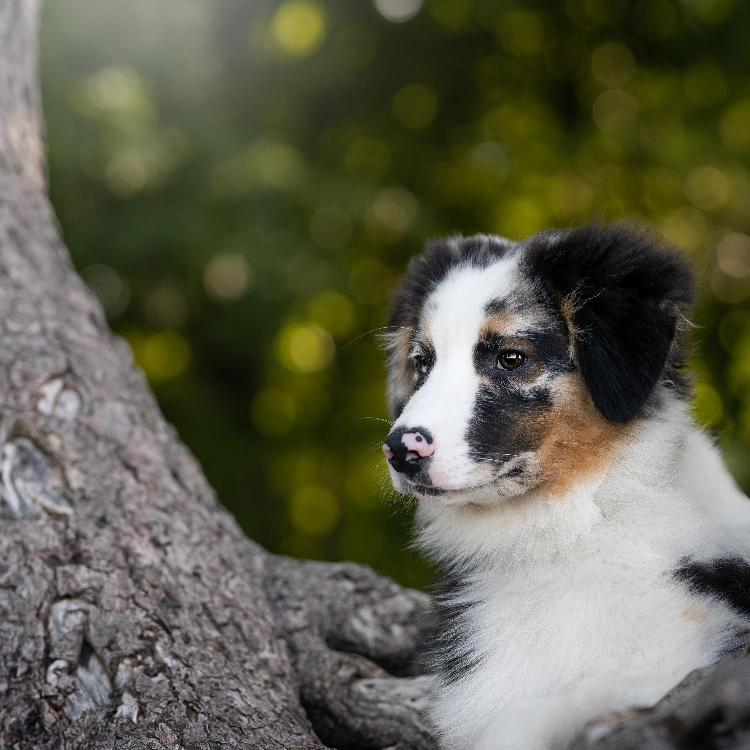 WORK-SHOP 16.07.23 завершён. ФОТОГРАФ-АНИМАЛИСТ l LANA POLYAKOVA