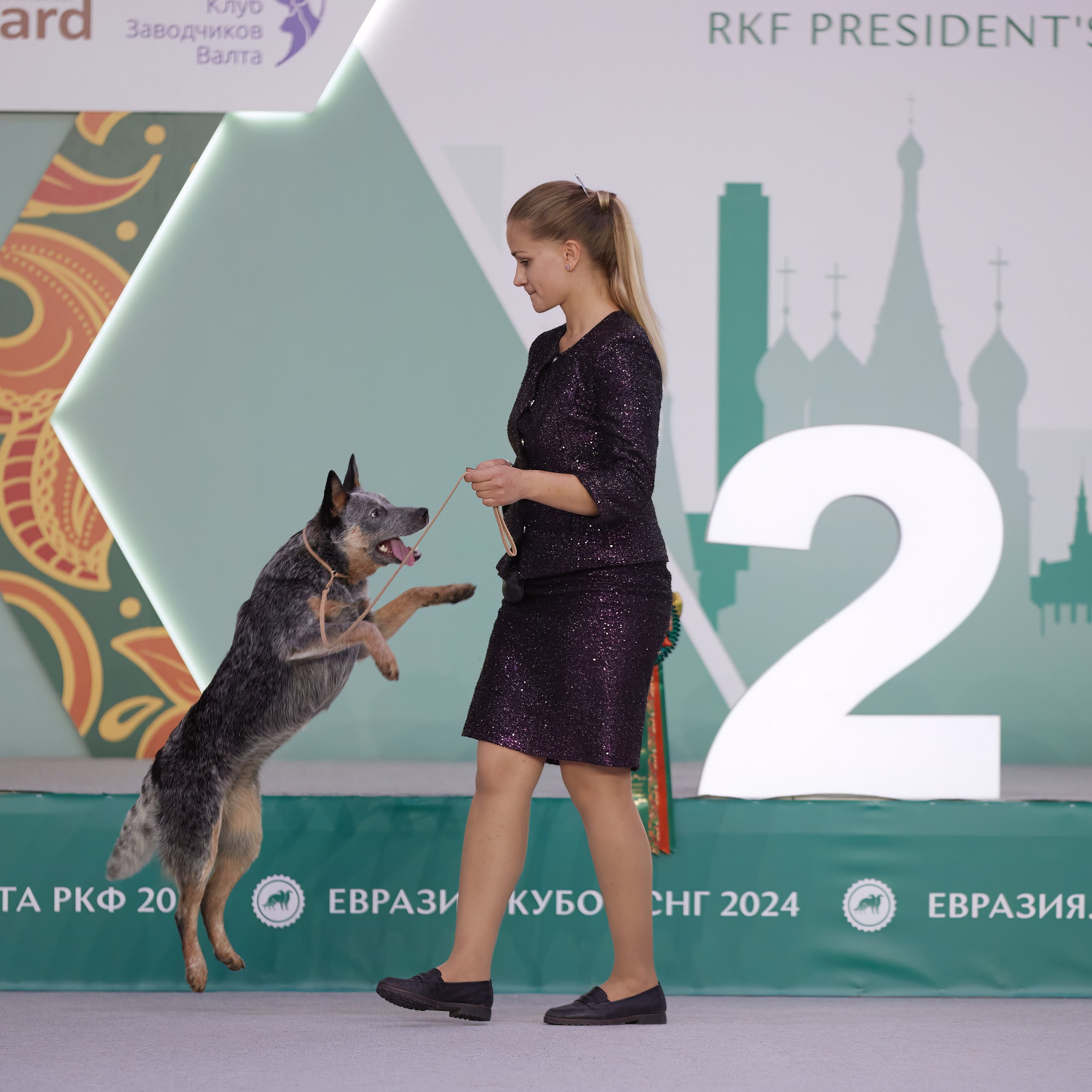 «ЕВРАЗИЯ-2024». ФОТОГРАФ-АНИМАЛИСТ l LANA POLYAKOVA