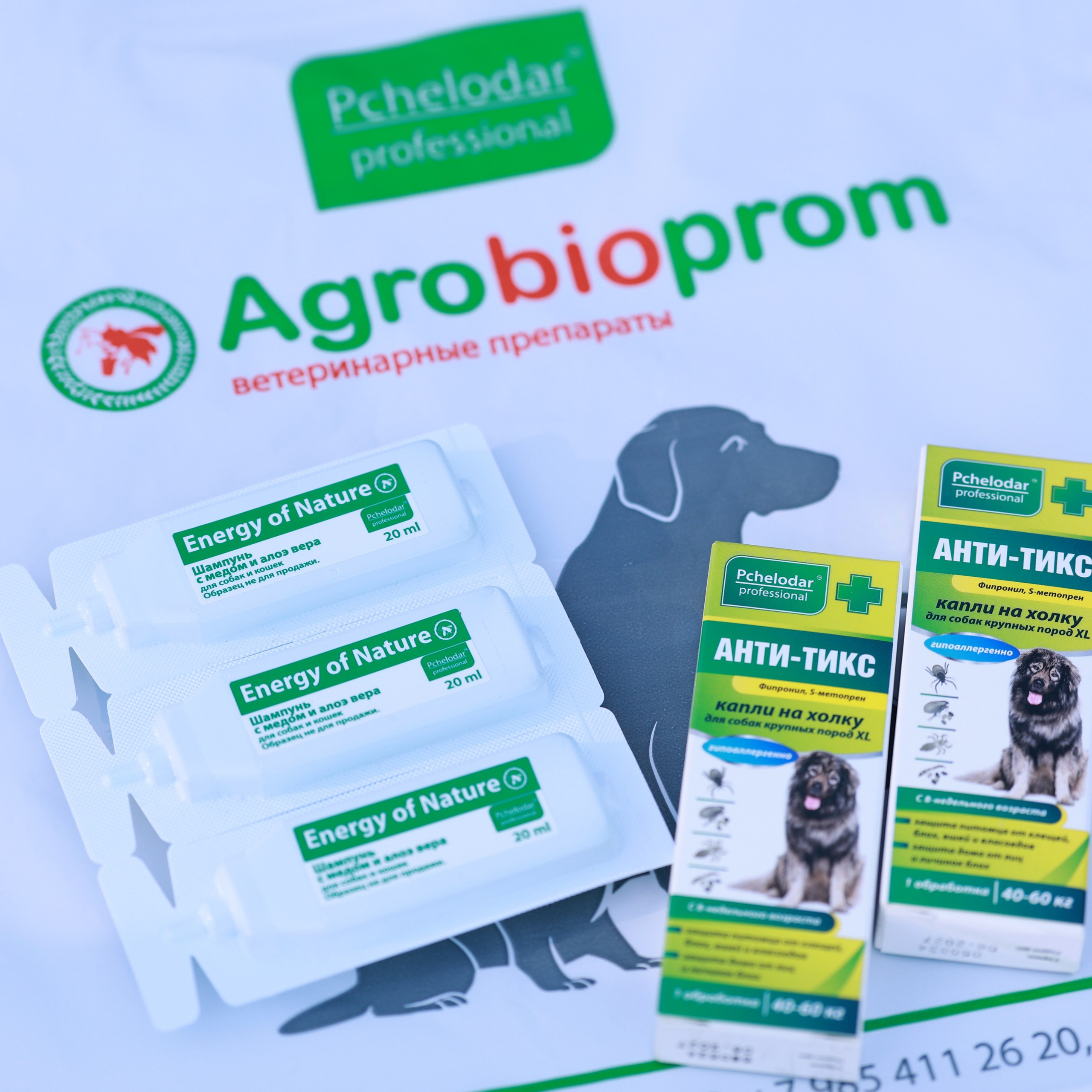 27-28.09.2025 ВЫСТАВКИ СОБАК ВСЕХ ПОРОД (САС, ЧРКФ, ЧФ). ФОТОГРАФ-АНИМАЛИСТ l LANA POLYAKOVA